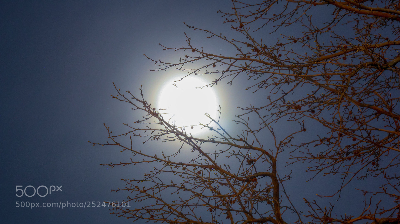 Canon EOS 60D sample photo. Moonlight  photography