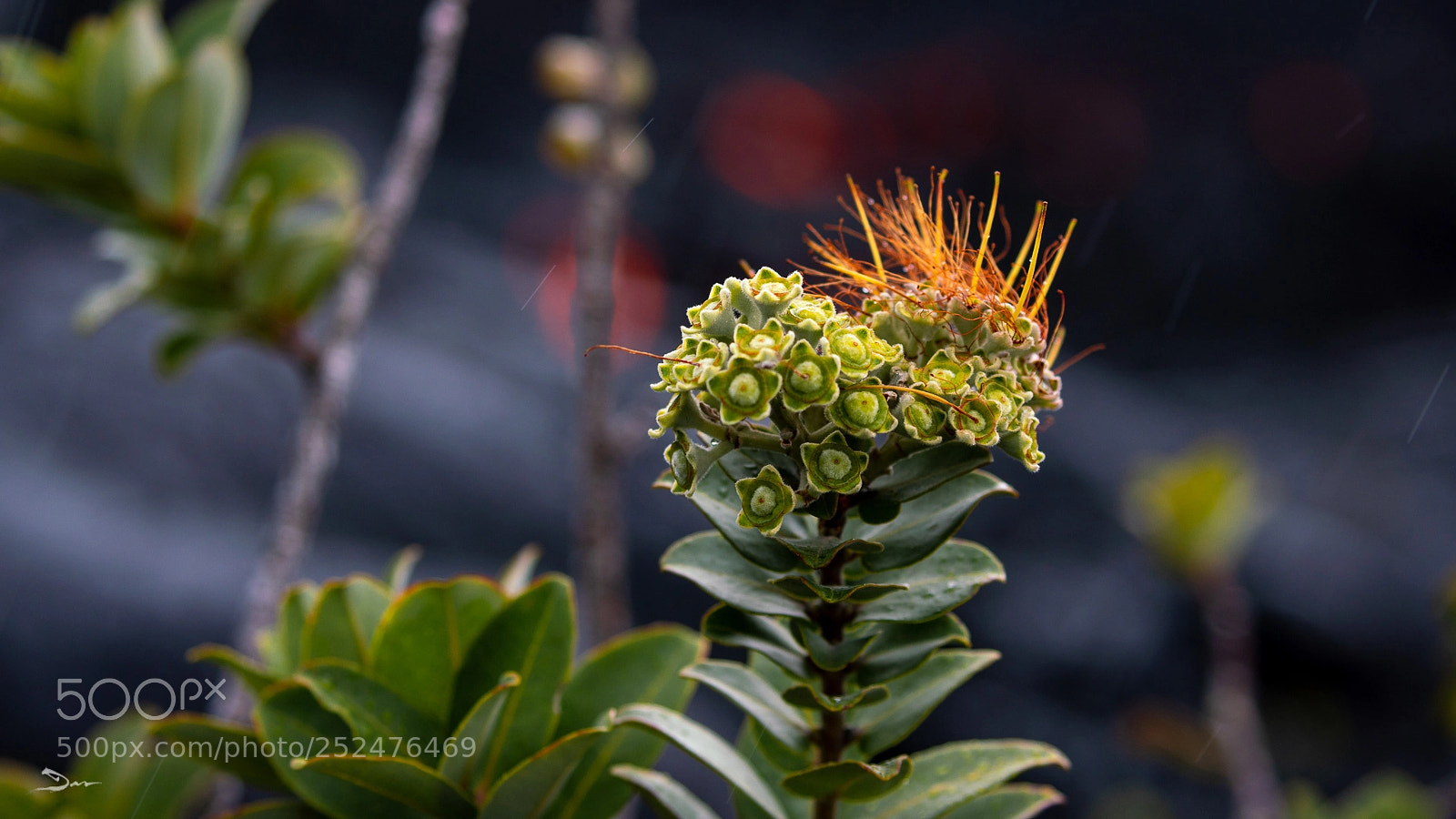 Sony a7R III sample photo. Nearing the end photography