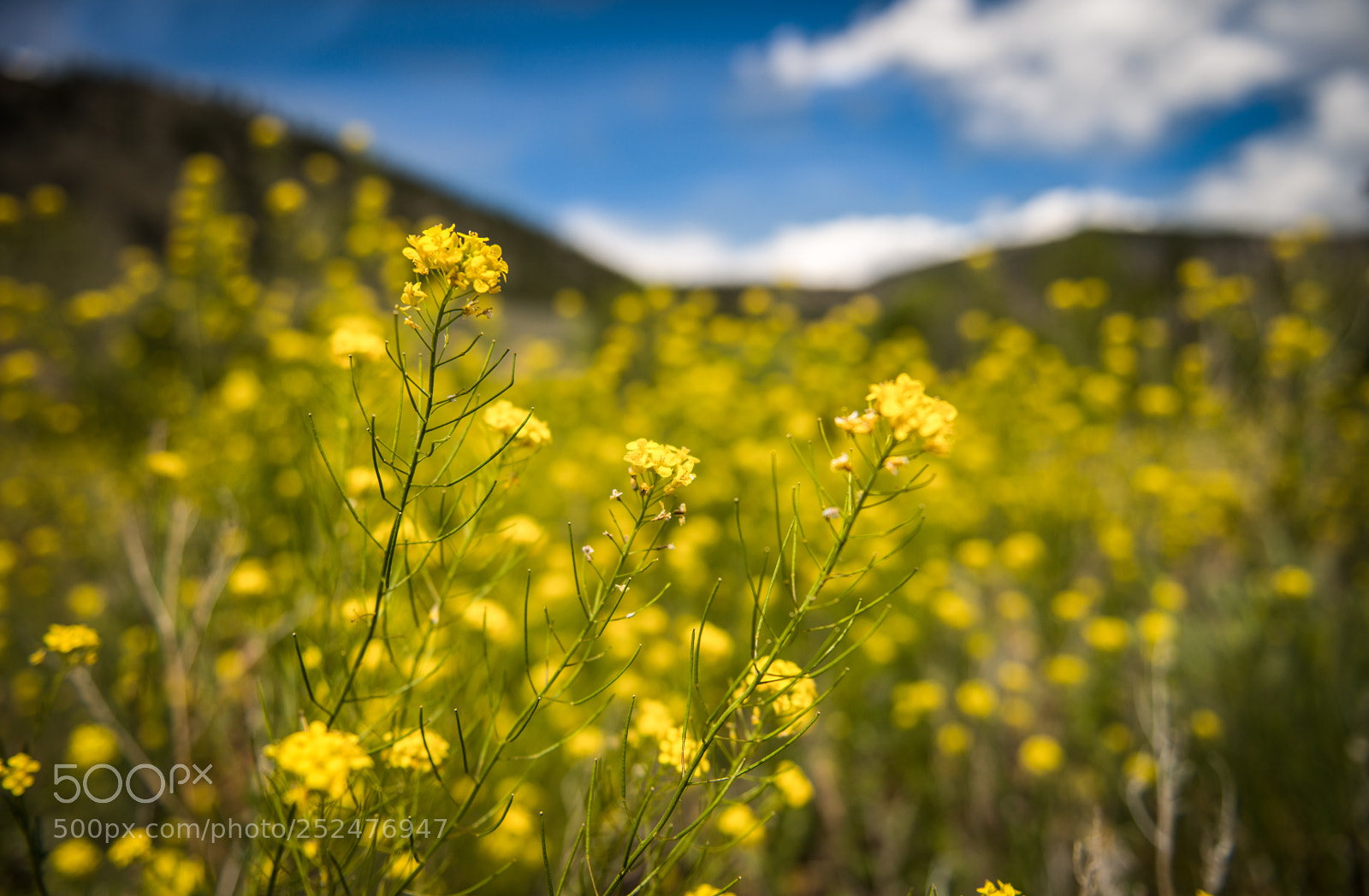 Nikon D800 sample photo. Landscape photography