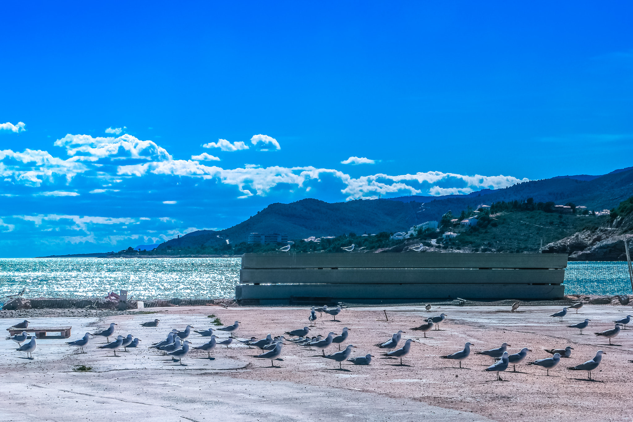 Samsung NX500 sample photo. Sunbathing photography