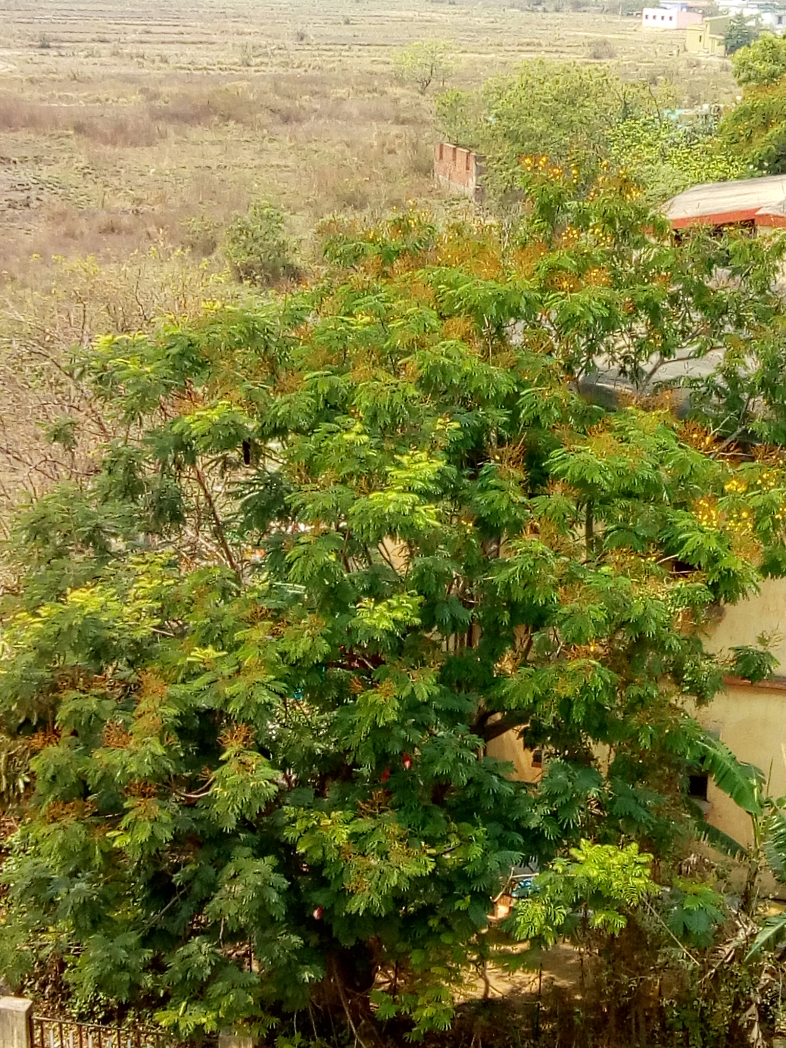 Motorola Moto C Plus sample photo