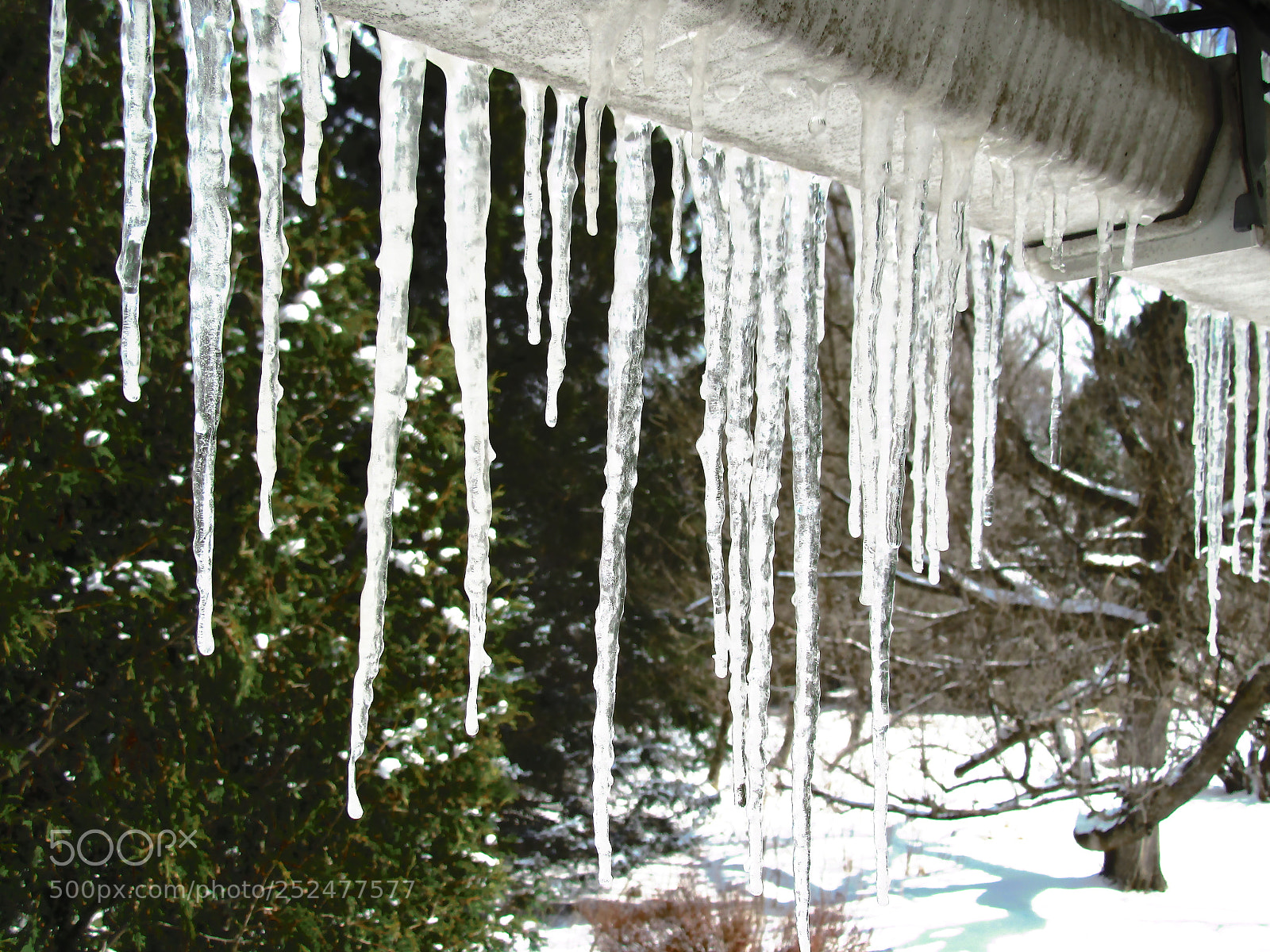 Canon PowerShot SX610 HS sample photo. Icicles photography