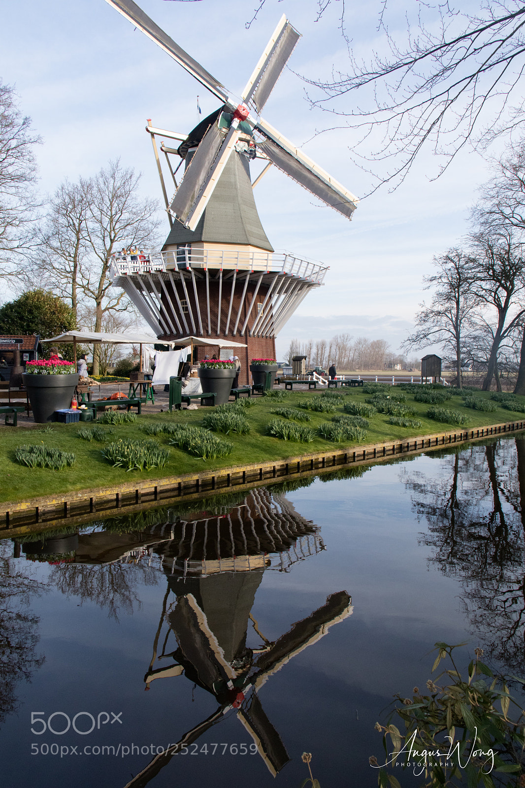 Canon EOS M5 sample photo. Windmill, keukenhof, amsterdam photography