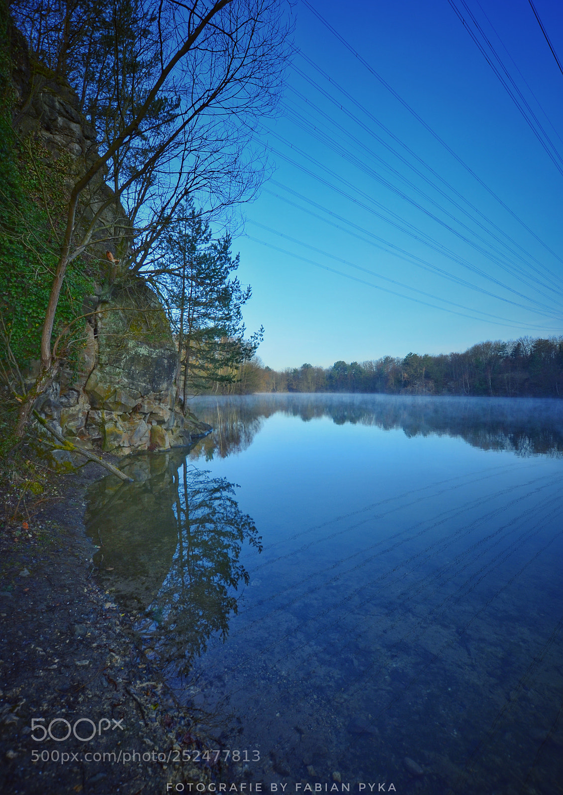 Nikon D5100 sample photo. Untitled photography