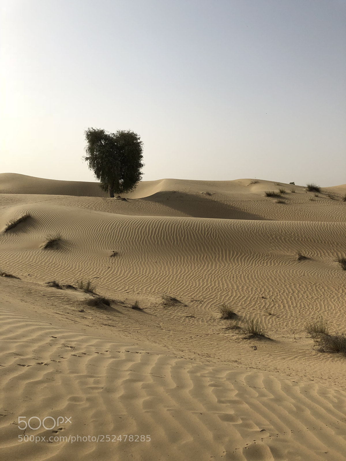 Apple iPhone 8 Plus sample photo. Out in the desert photography