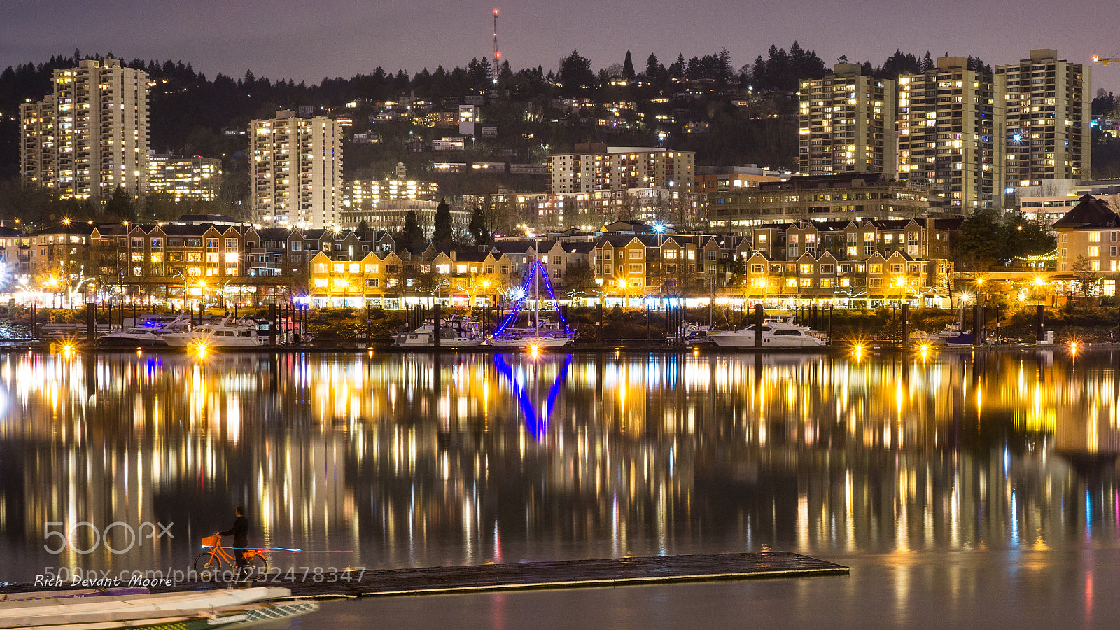 Sony a6000 sample photo. Rose city lights photography