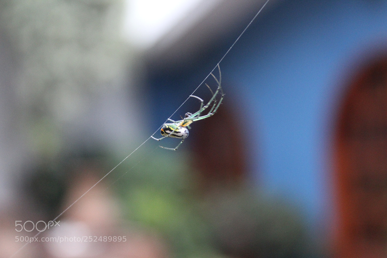 Canon EOS 1200D (EOS Rebel T5 / EOS Kiss X70 / EOS Hi) sample photo. Funambules photography