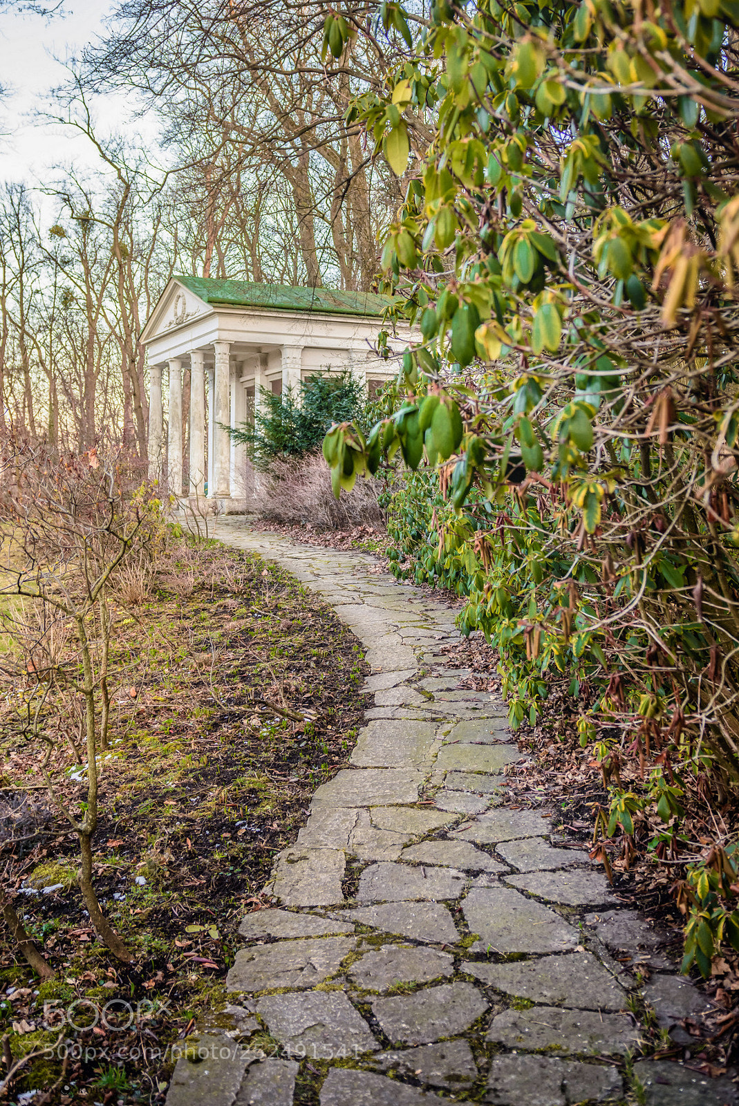 Nikon D7200 sample photo. In the park photography