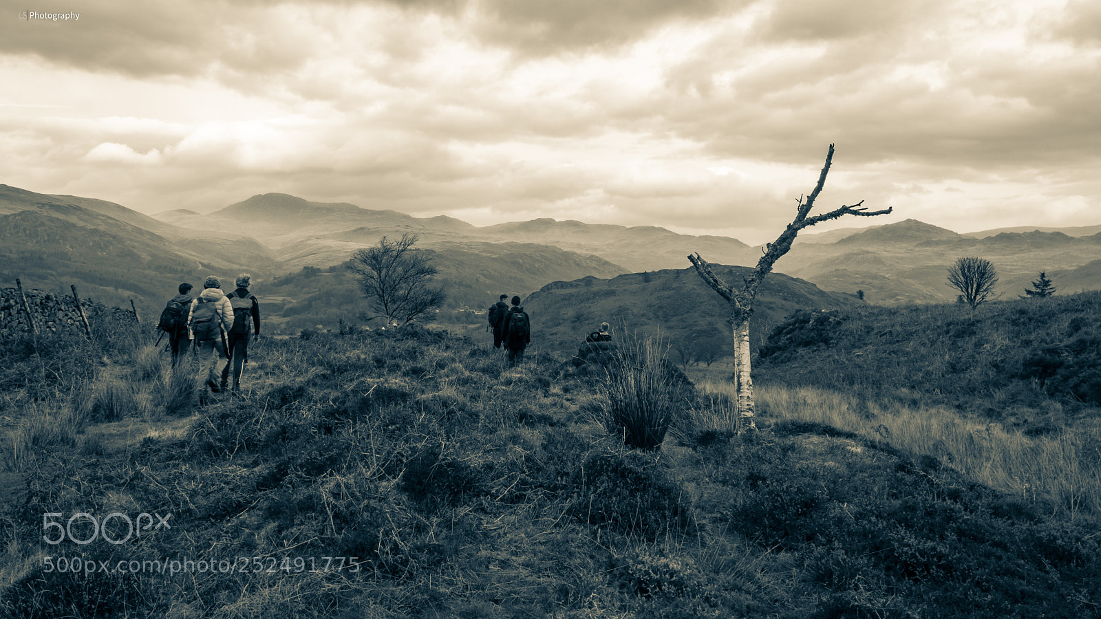 Nikon D5300 sample photo. Towards scafell photography