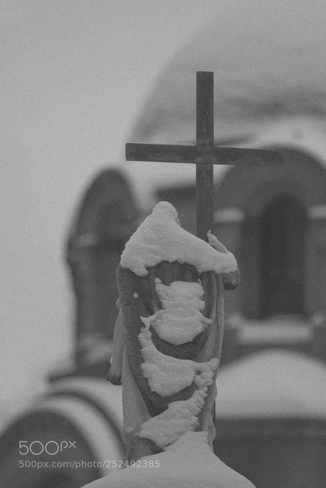 Canon EOS 60D sample photo. Без названия photography