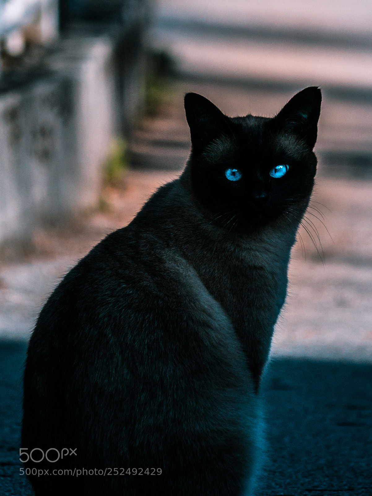 Panasonic DMC-G81 sample photo. Ghost photography