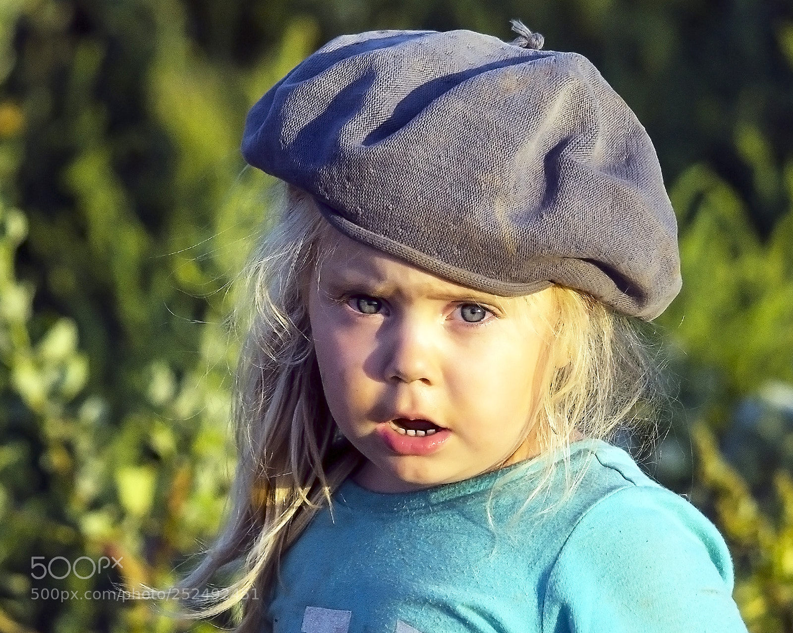 Sony Alpha NEX-5T sample photo. Cata.... photography