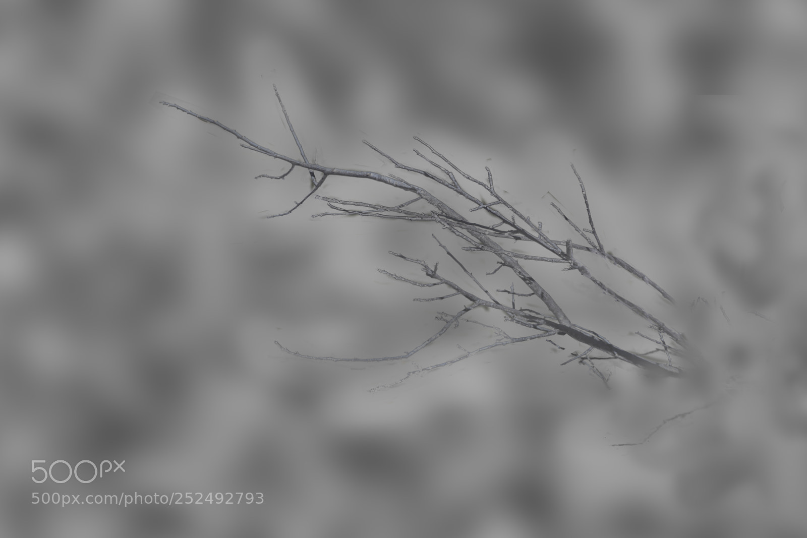 Nikon D7100 sample photo. Bramble in a pond photography