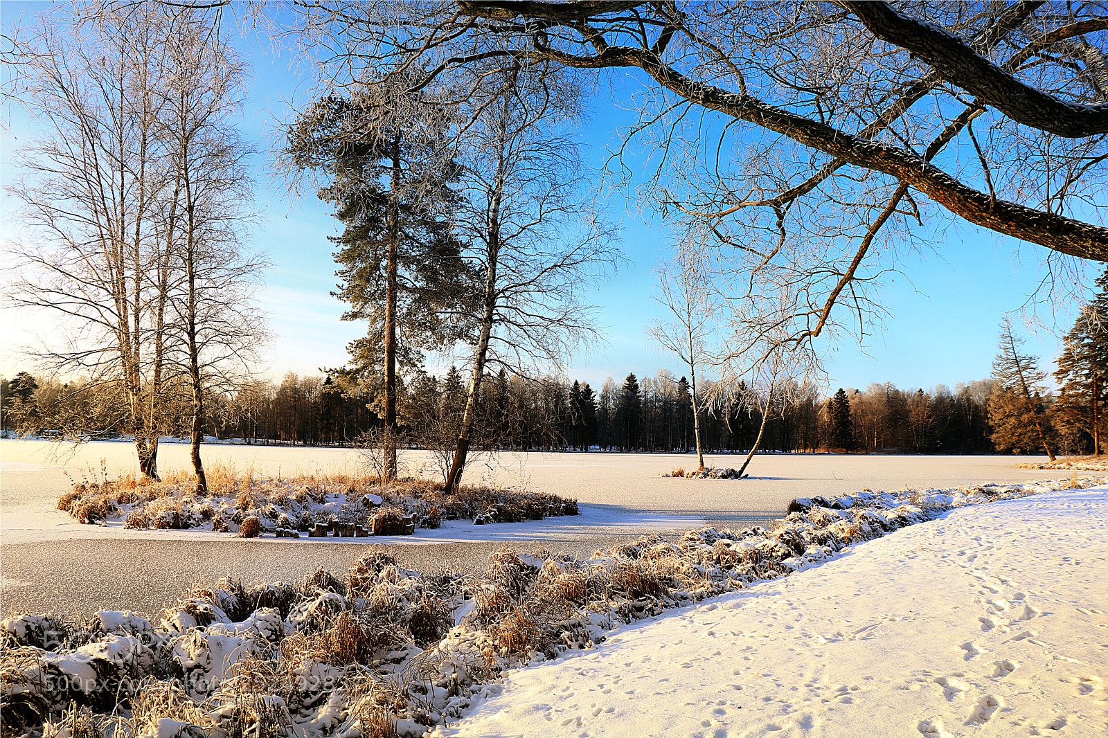 Canon EOS 750D (EOS Rebel T6i / EOS Kiss X8i) sample photo. новый день photography