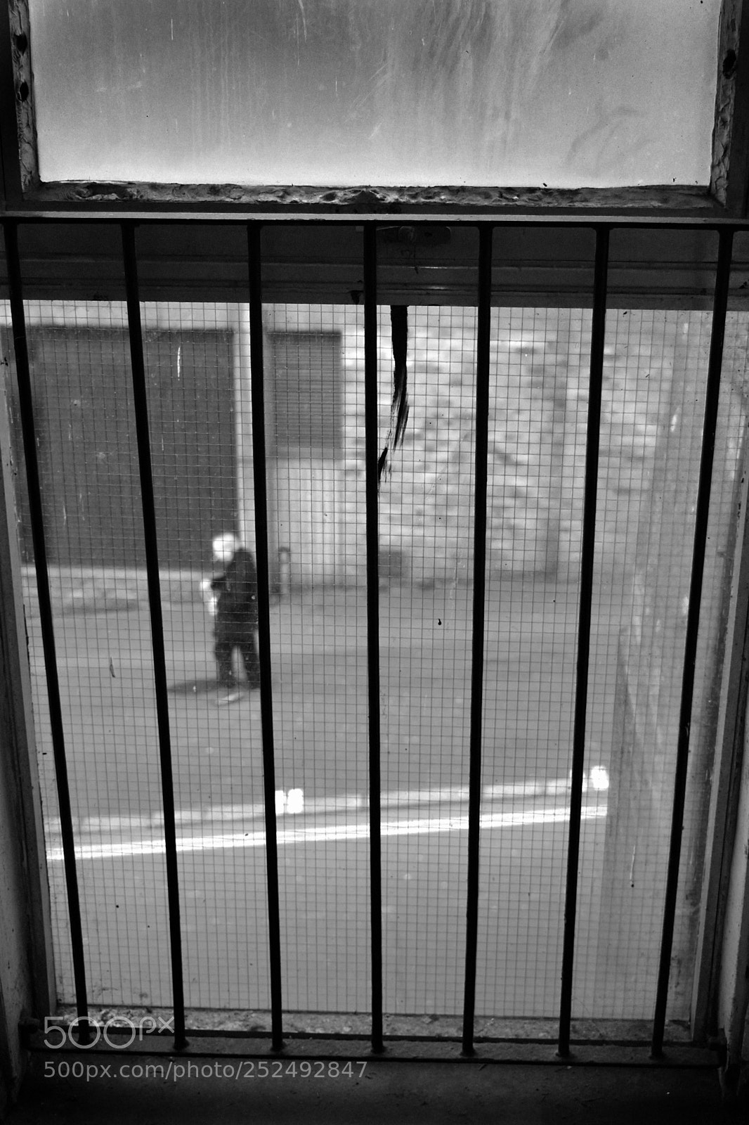 Nikon D5600 sample photo. Life behind bars photography
