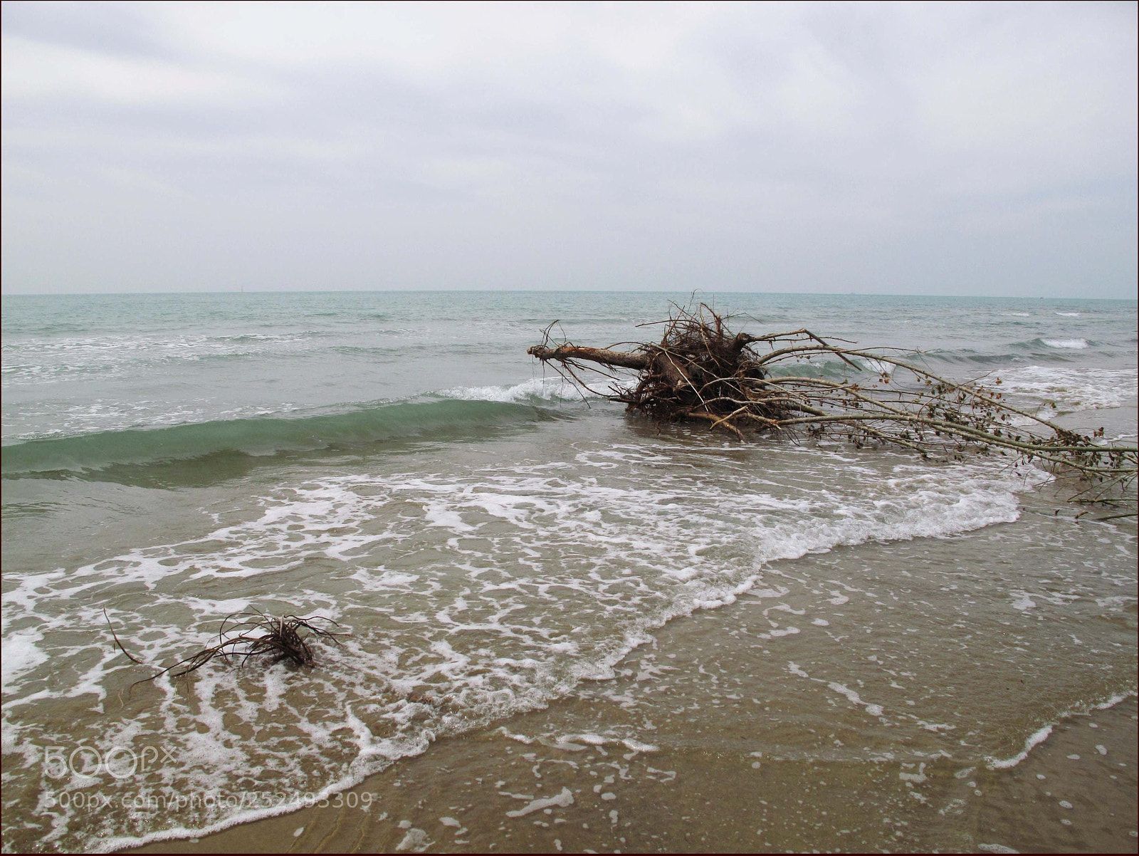 Canon PowerShot G10 sample photo. Fedaeorig photography