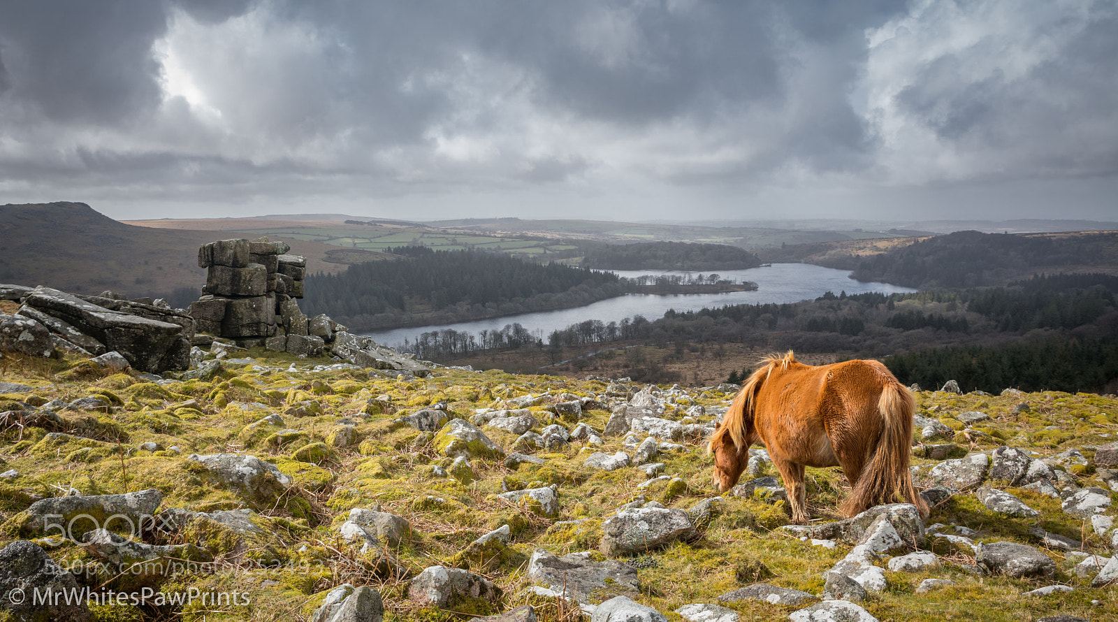 Nikon D7100 sample photo. Pony on leather tor photography