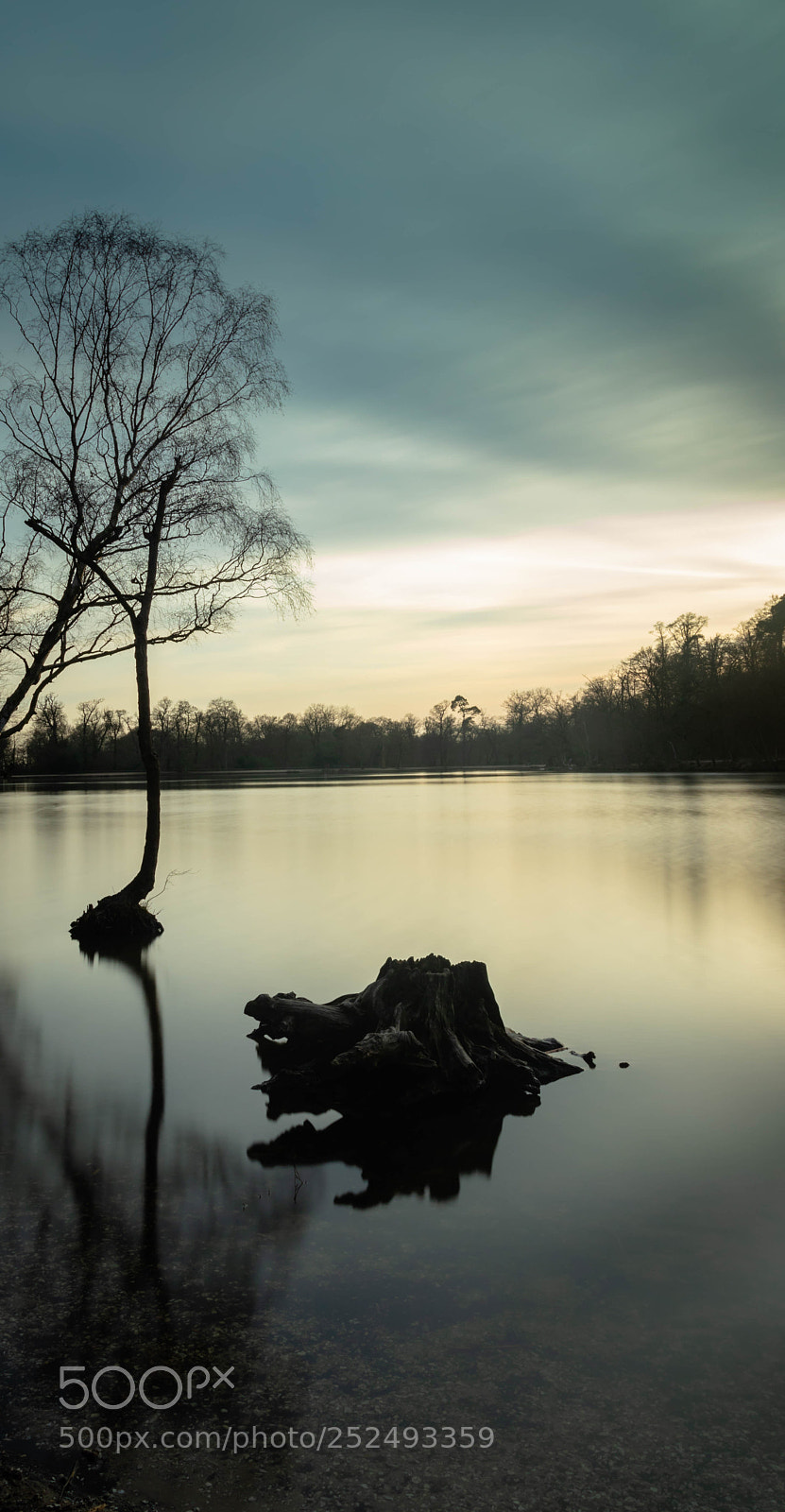 Canon EOS 77D (EOS 9000D / EOS 770D) sample photo. Black park lake photography