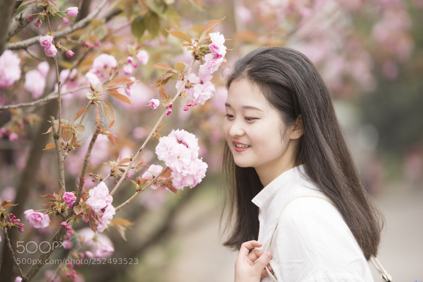 Nikon D810 sample photo. Untitled photography