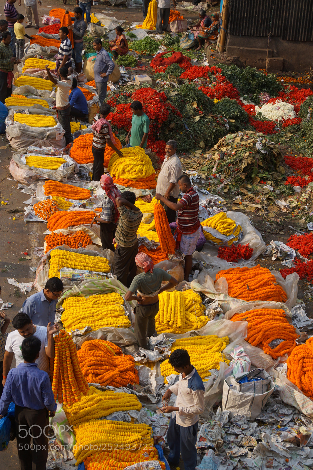 Sony Alpha a3500 sample photo. Flower market photography