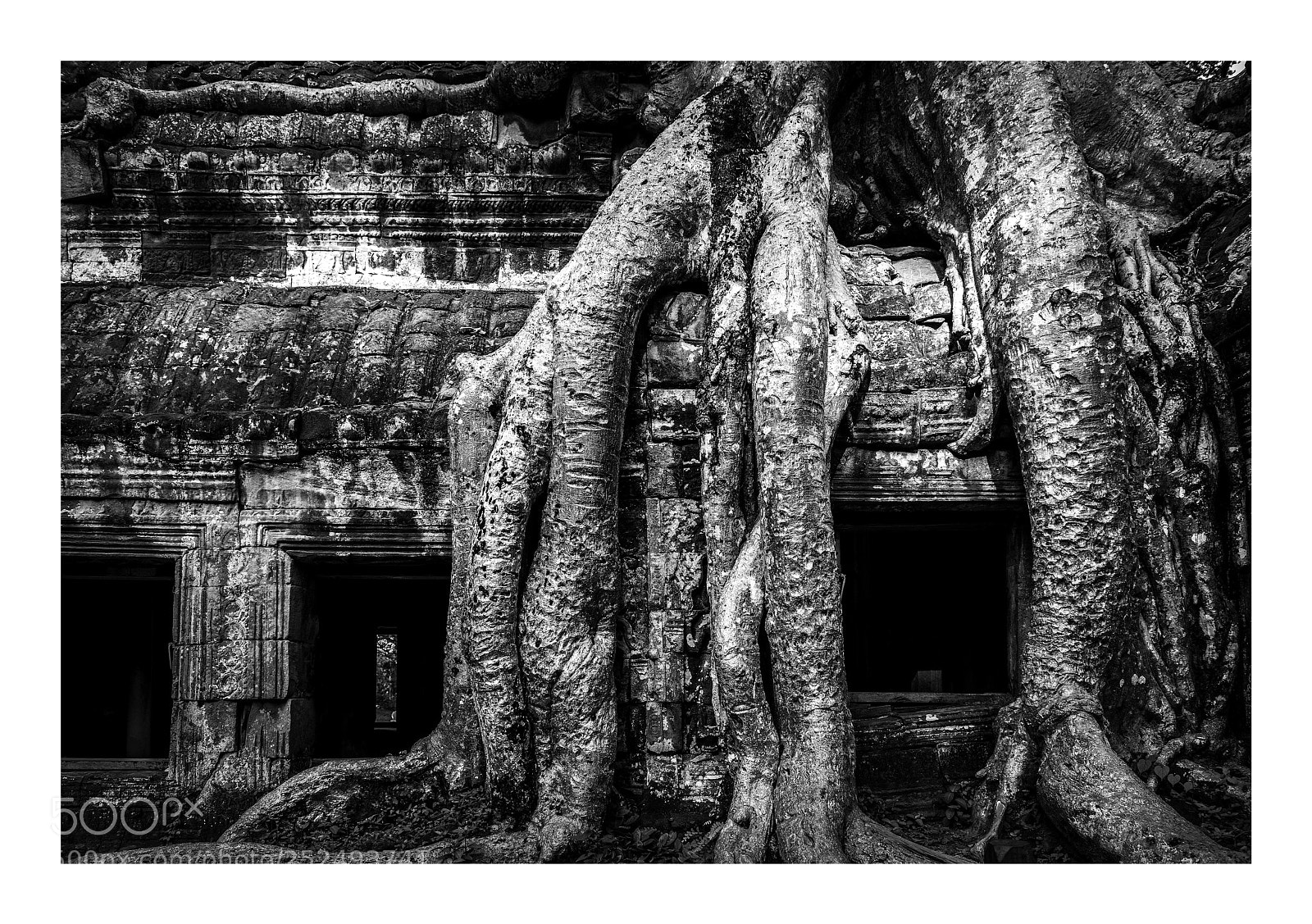 Nikon D800 sample photo. Ta prohm photography