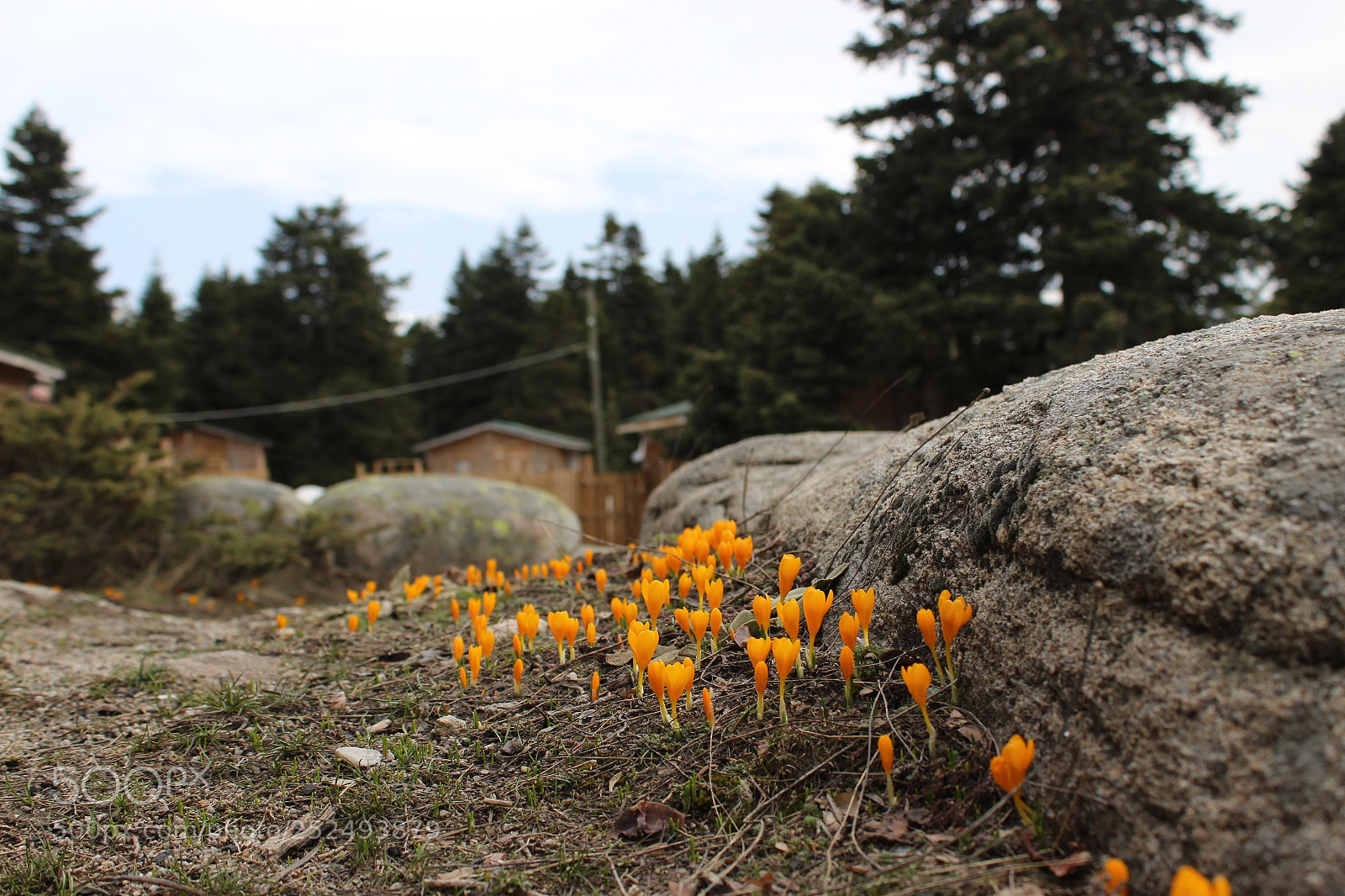 Canon EF-S 18-55mm F3.5-5.6 III sample photo. Follow me photography