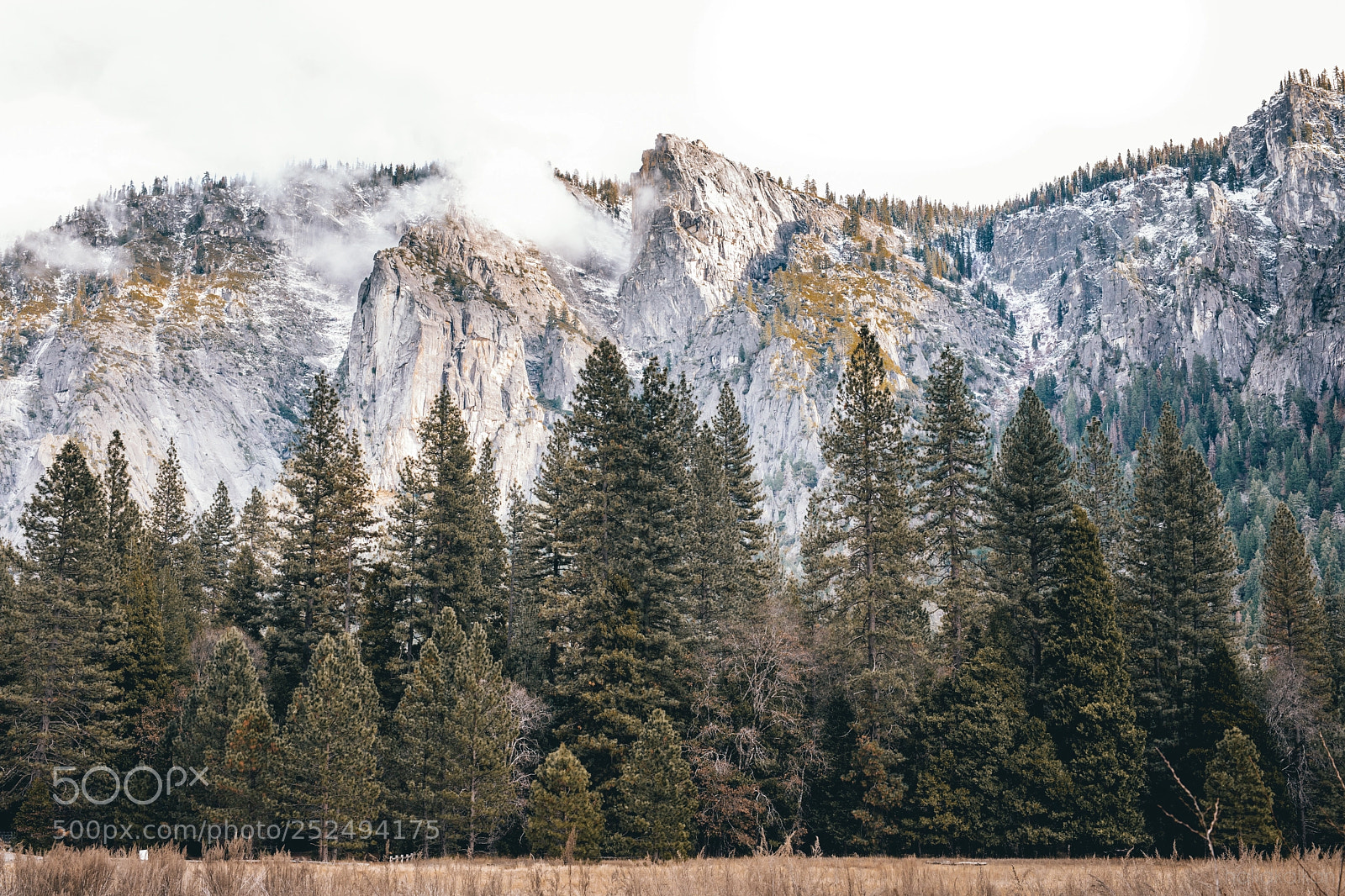 Canon EOS 5D Mark IV sample photo. Rest photography