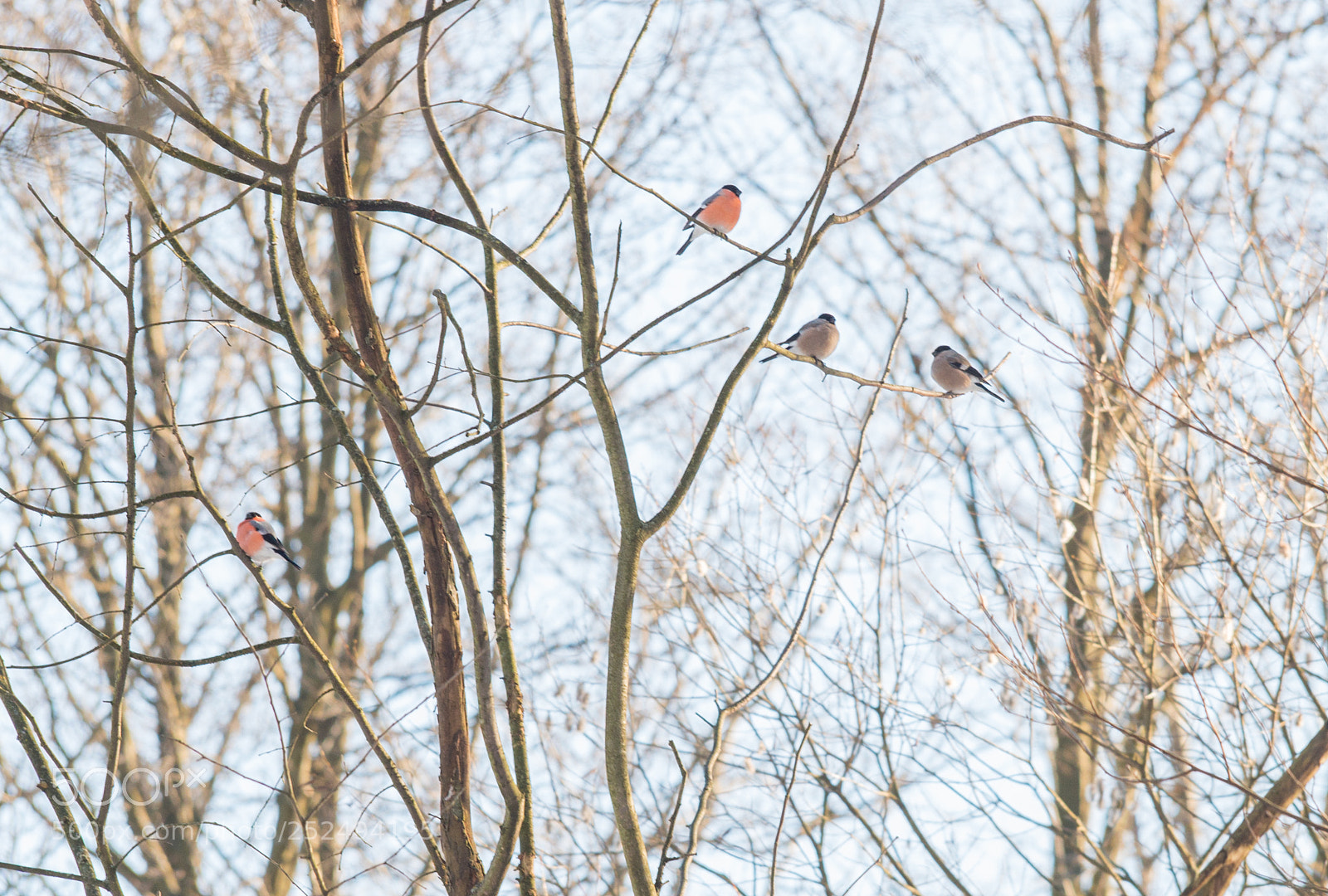Nikon D800 sample photo. Sb photography
