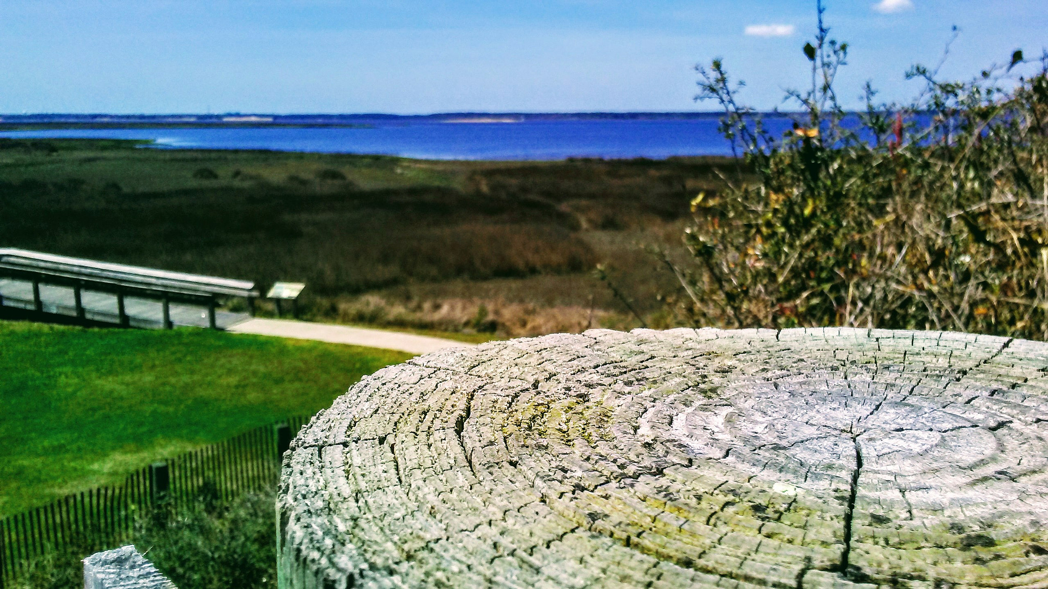 LG Phoenix 3 sample photo. Sunny day over fort fisher photography