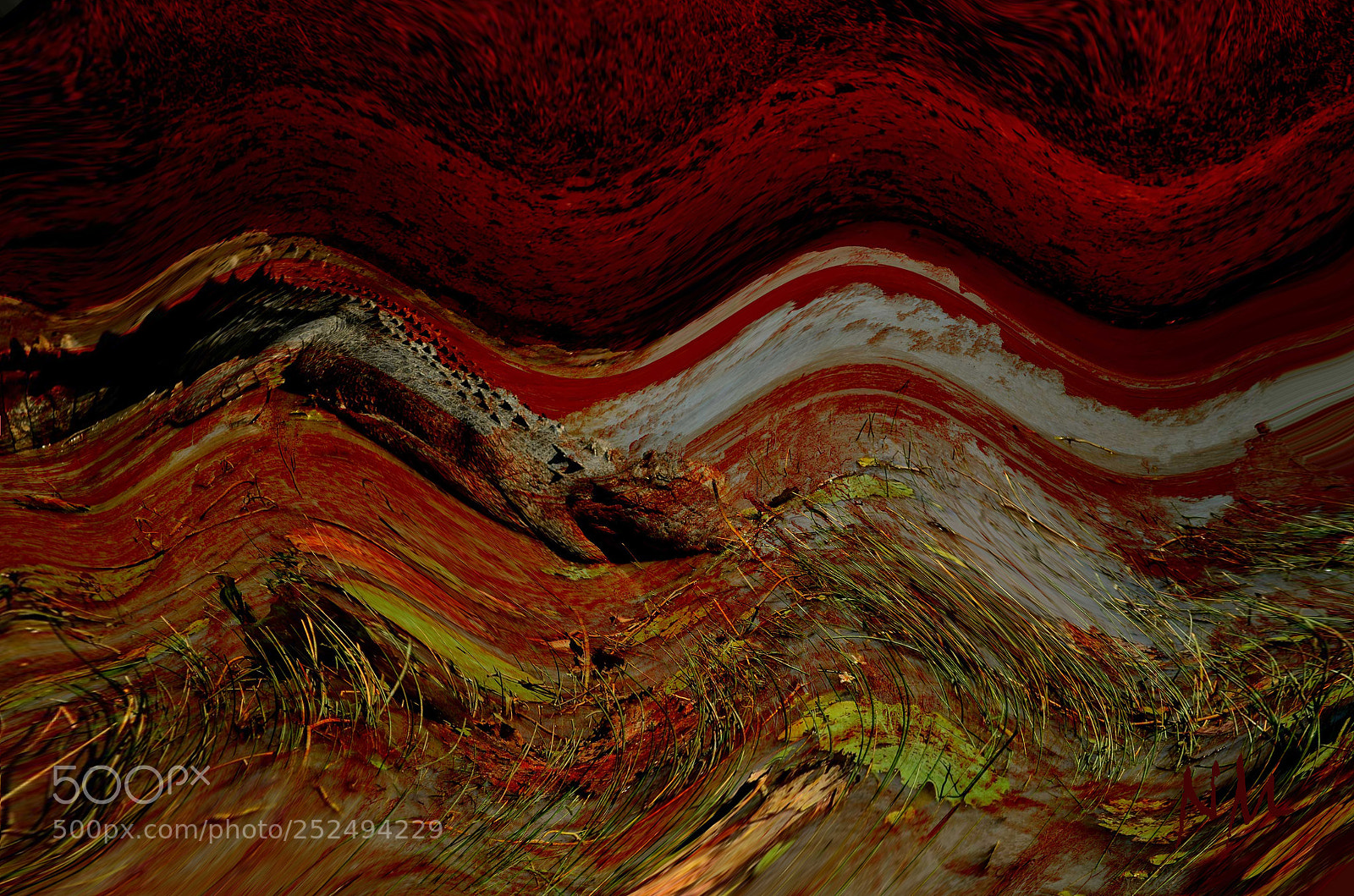Nikon D5100 sample photo. Dreamtime-red center photography