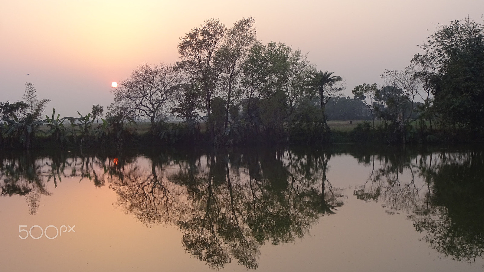 Sony Cyber-shot DSC-WX220 sample photo. Reflation in river photography