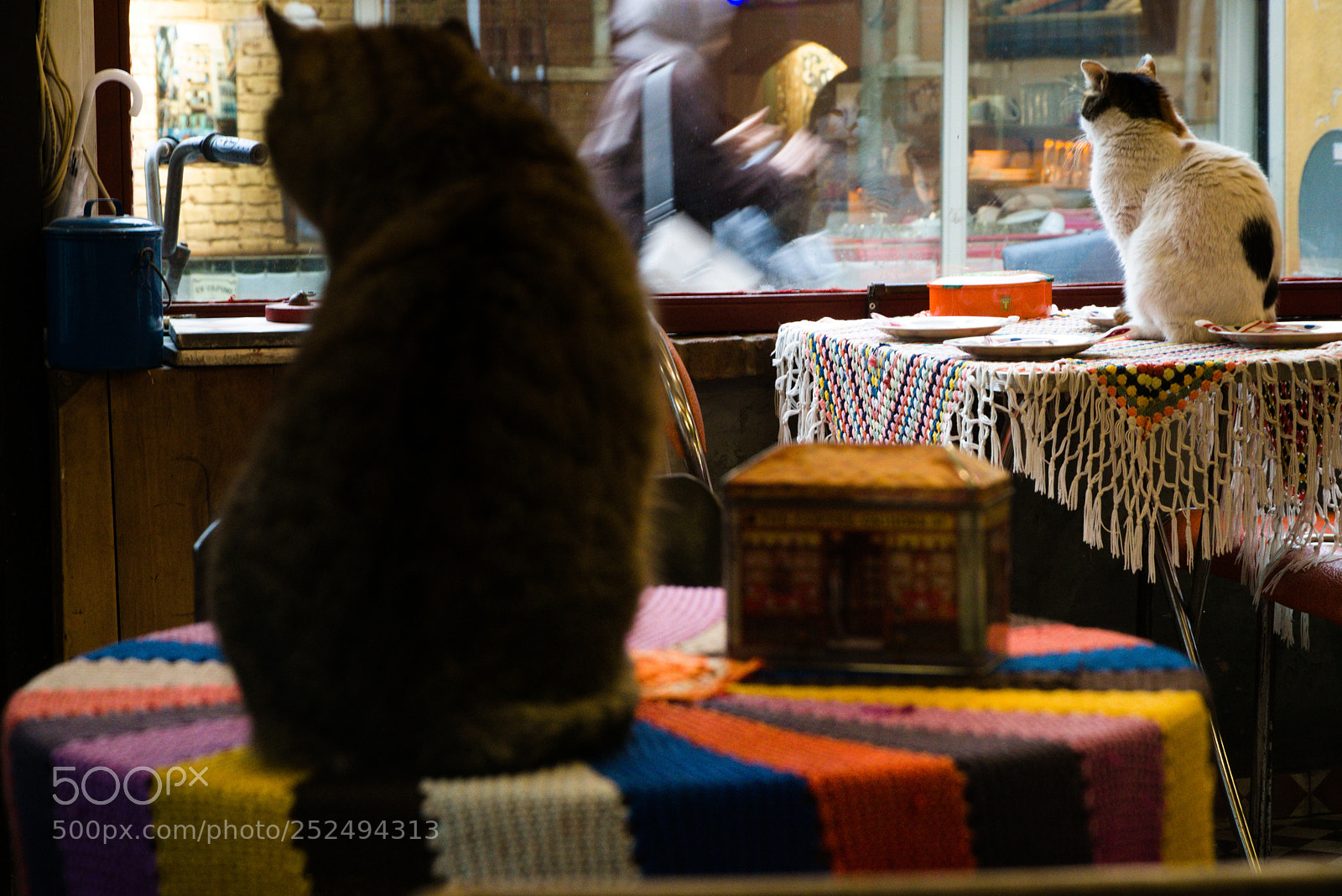 Sony a6300 sample photo. Dsc photography