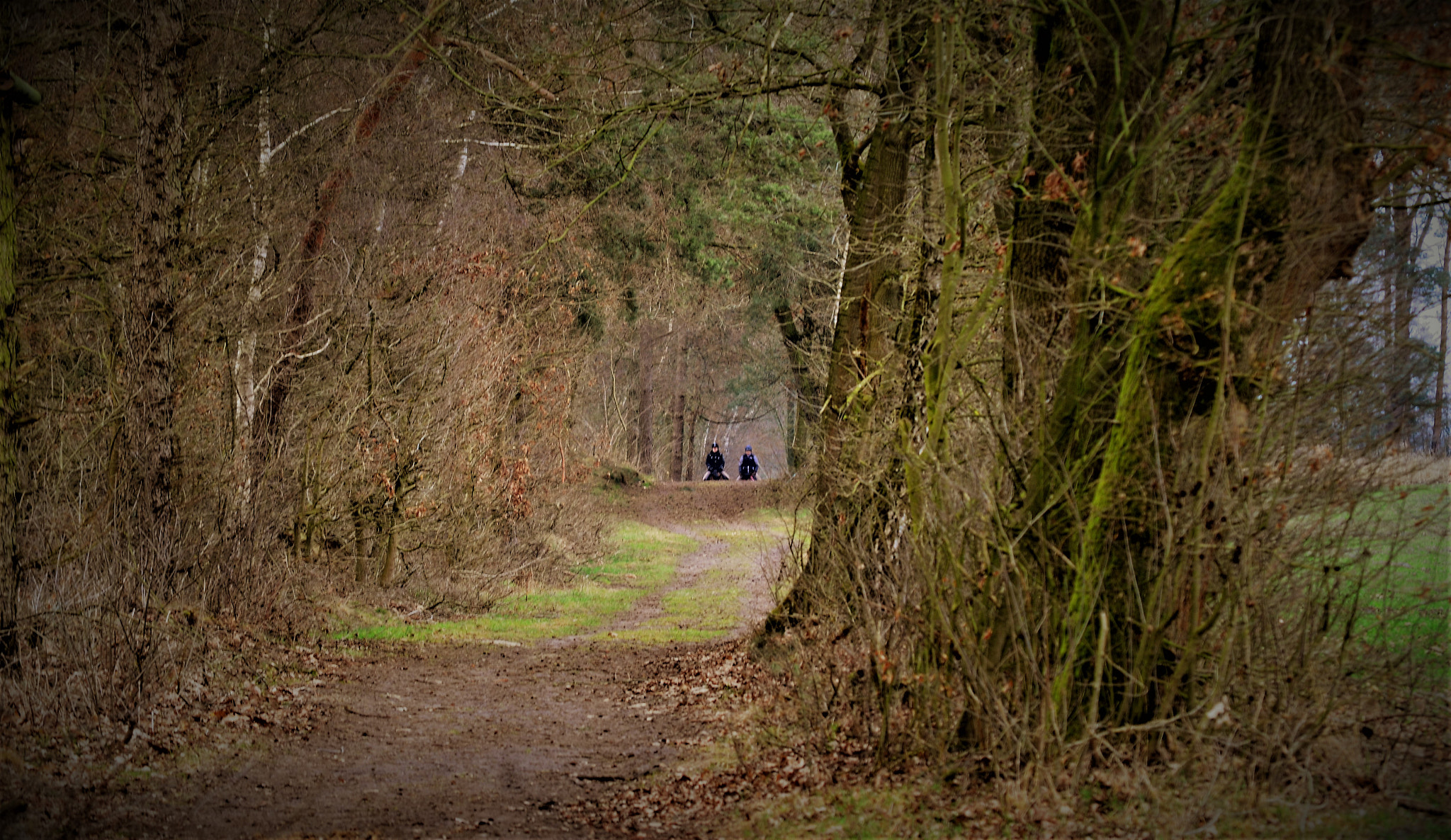 Nikon D5100 sample photo. Riders photography