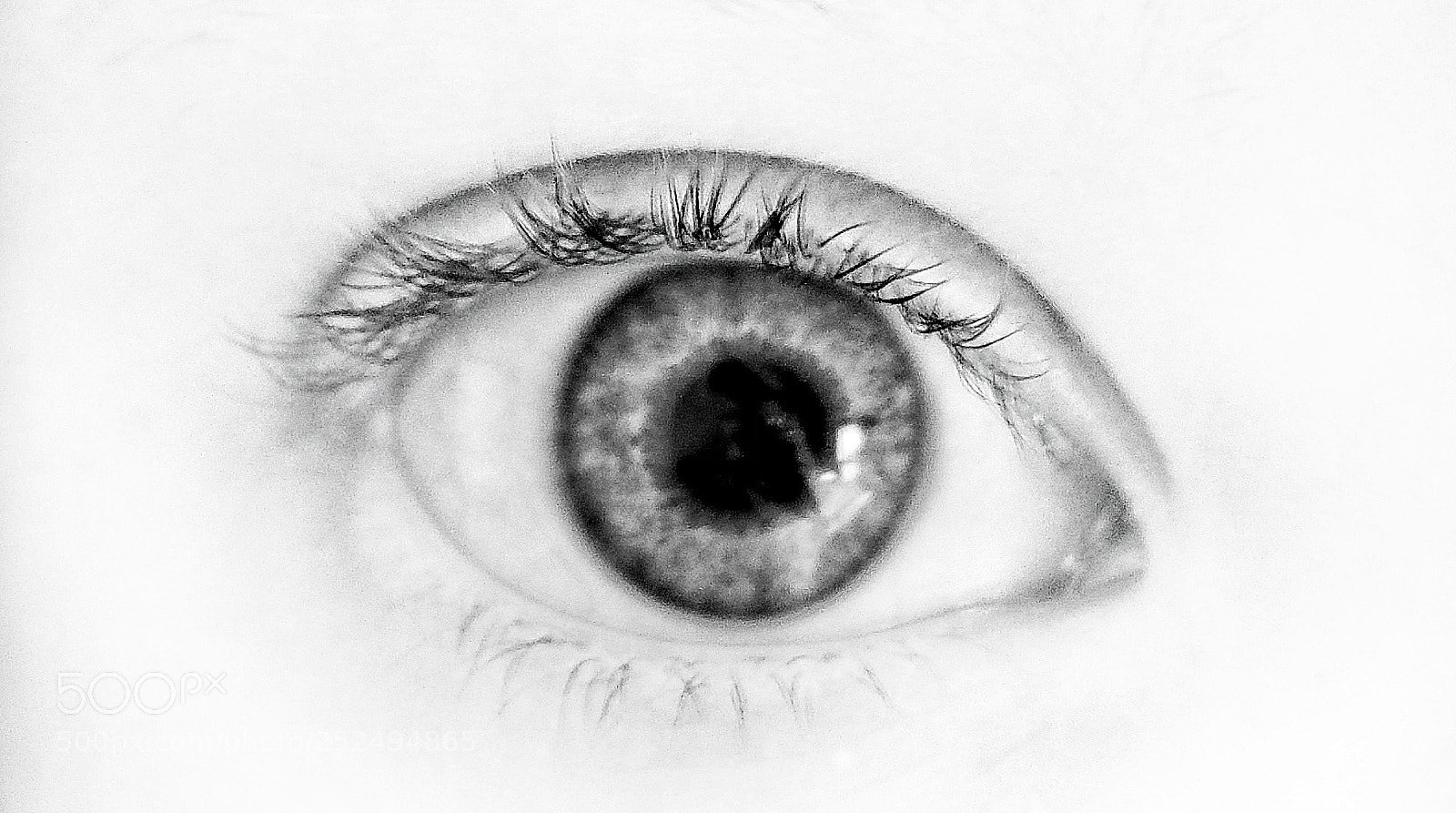 Olympus OM-D E-M10 III sample photo. Greta's eye photography