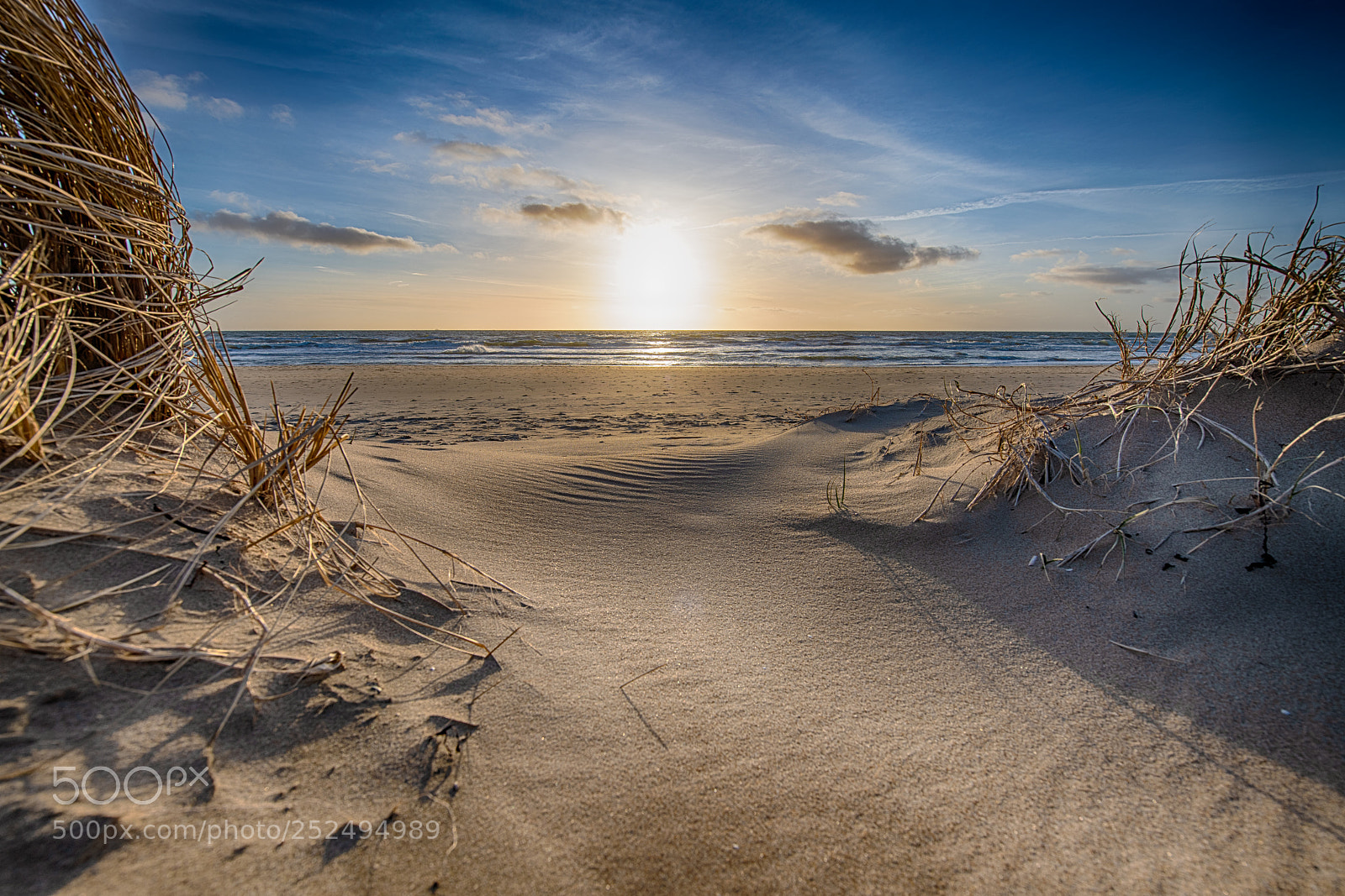 Nikon D850 sample photo. Down on the beach photography