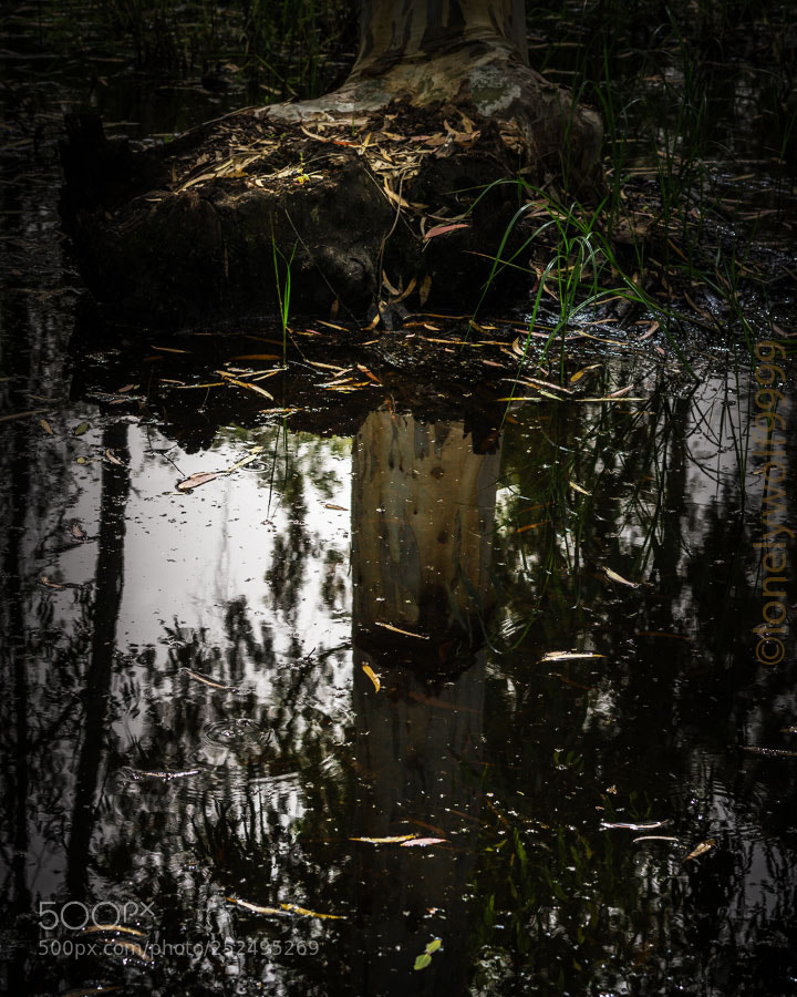 Sony a6000 sample photo. Deep photography