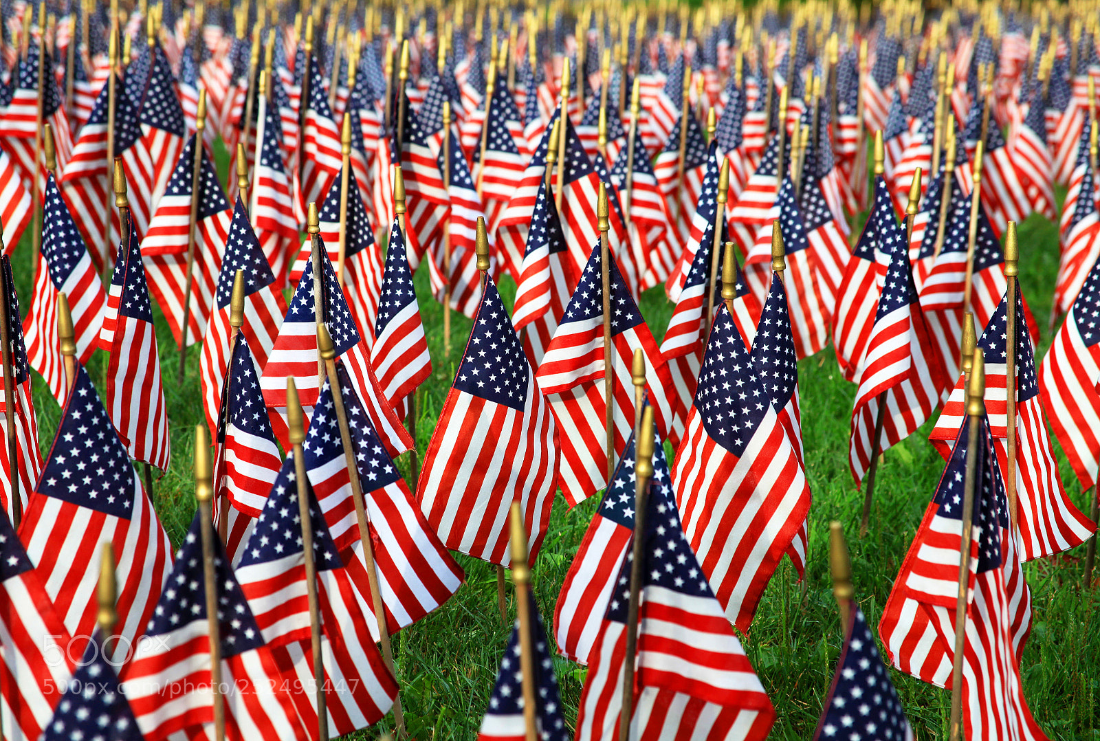 Canon EOS 5D Mark II sample photo. Field of flags photography