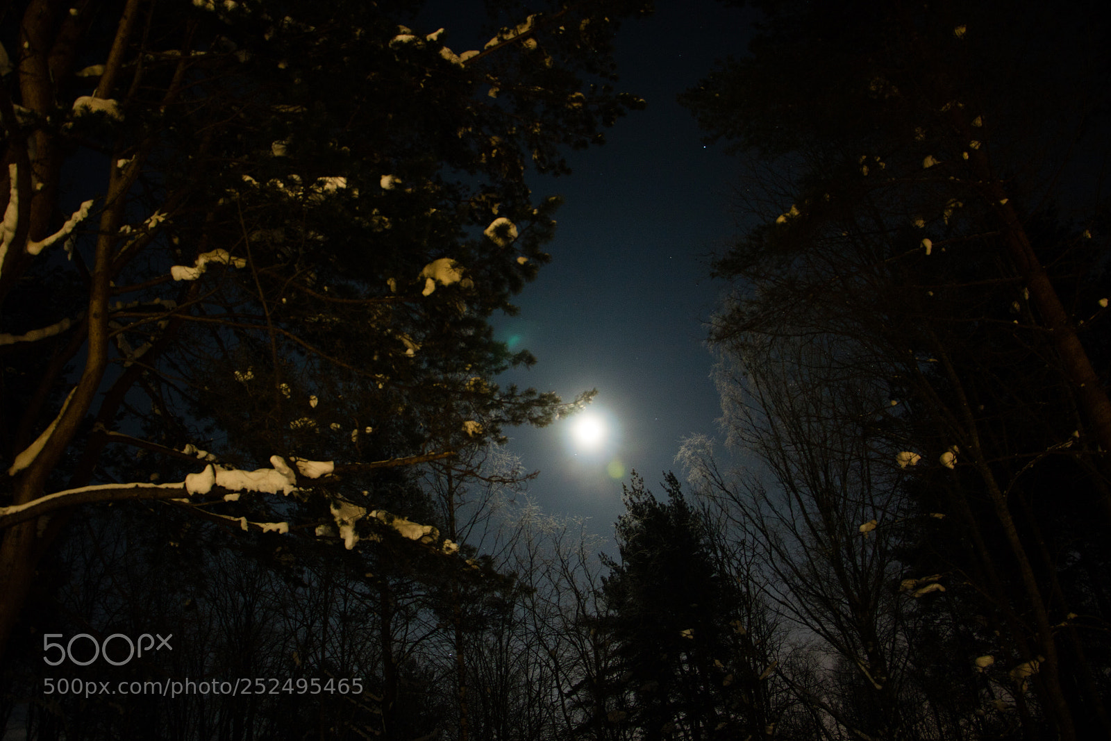 Canon EOS 750D (EOS Rebel T6i / EOS Kiss X8i) sample photo. Moonlight photography