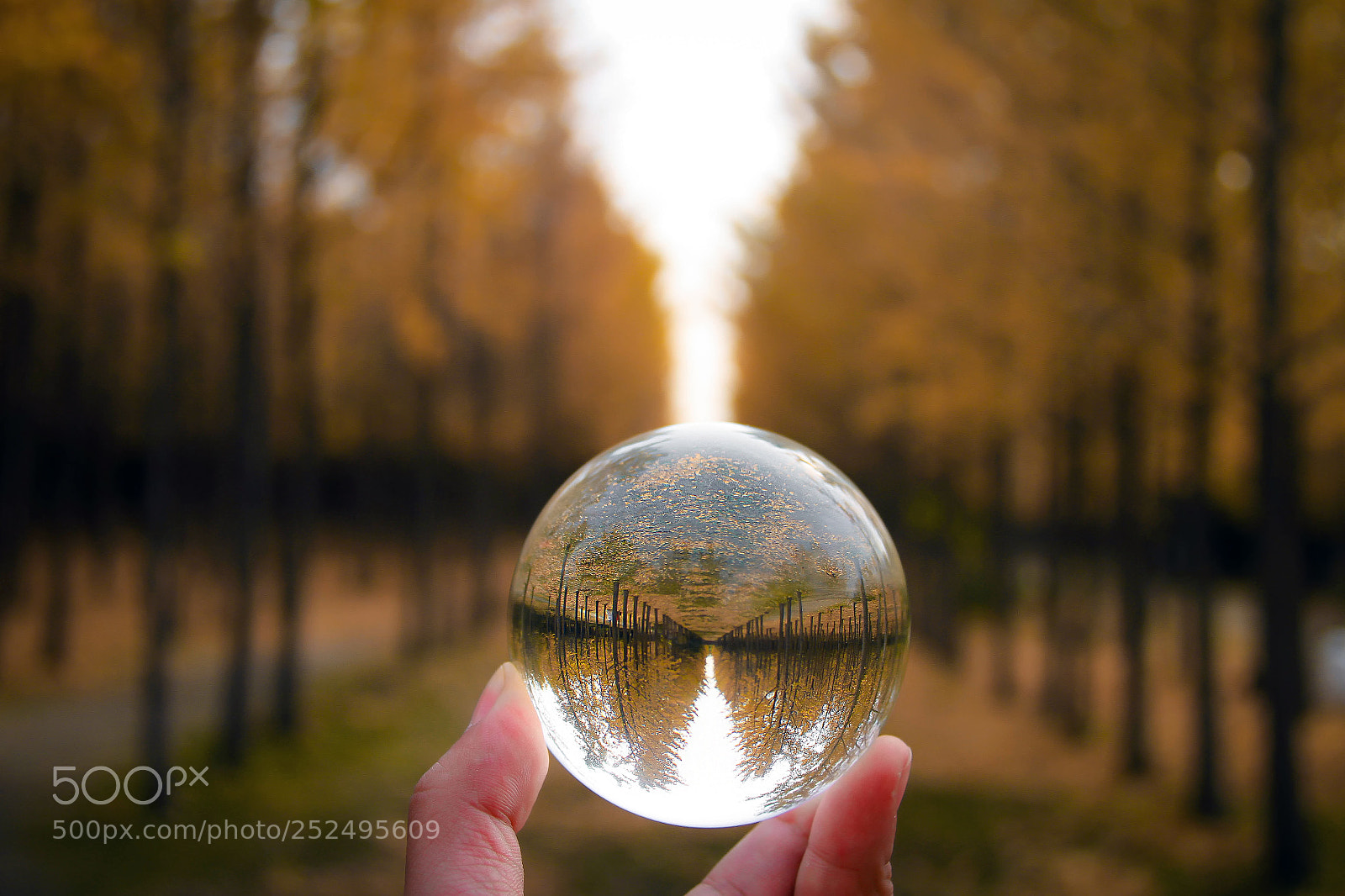 Canon EOS 7D sample photo. 水晶球 photography