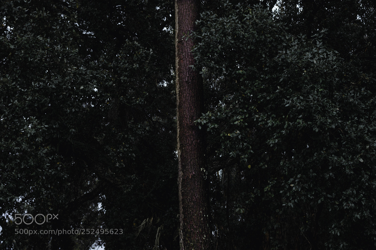 Nikon D3300 sample photo. Nature photography