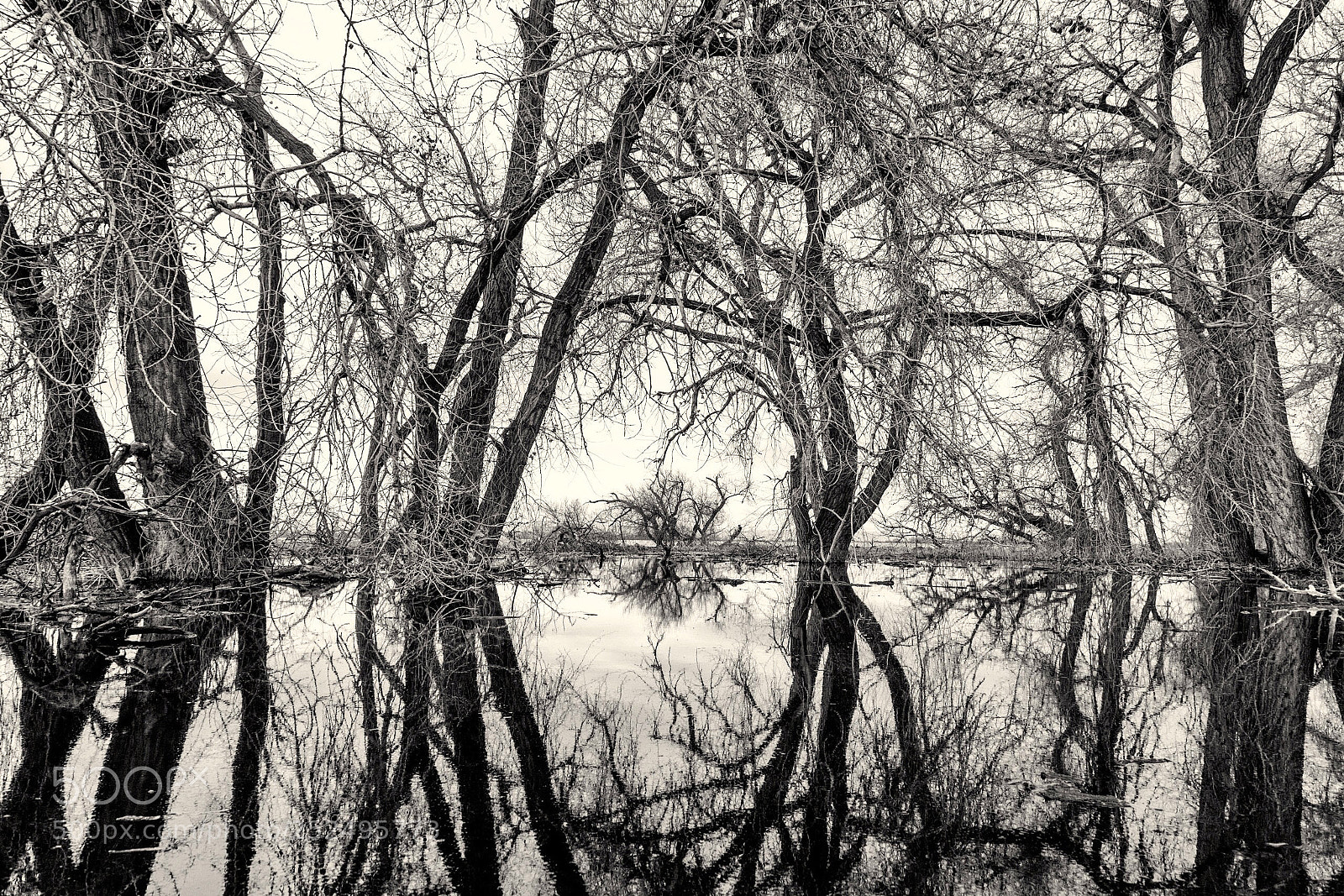 Canon EOS 5D Mark II sample photo. Reflections of nature photography