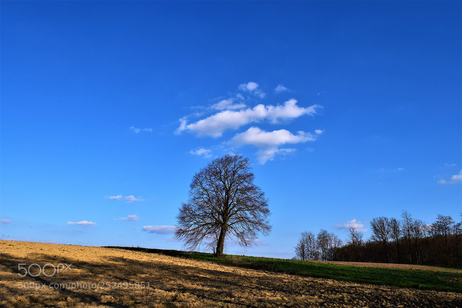 Nikon D3300 sample photo. Tomaš photography