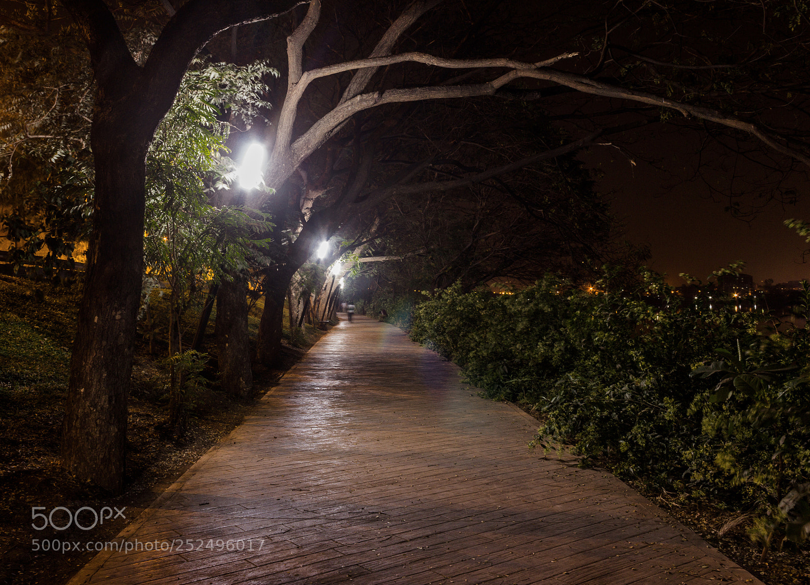 Canon EOS 600D (Rebel EOS T3i / EOS Kiss X5) sample photo. Jewel of navi mumbai photography