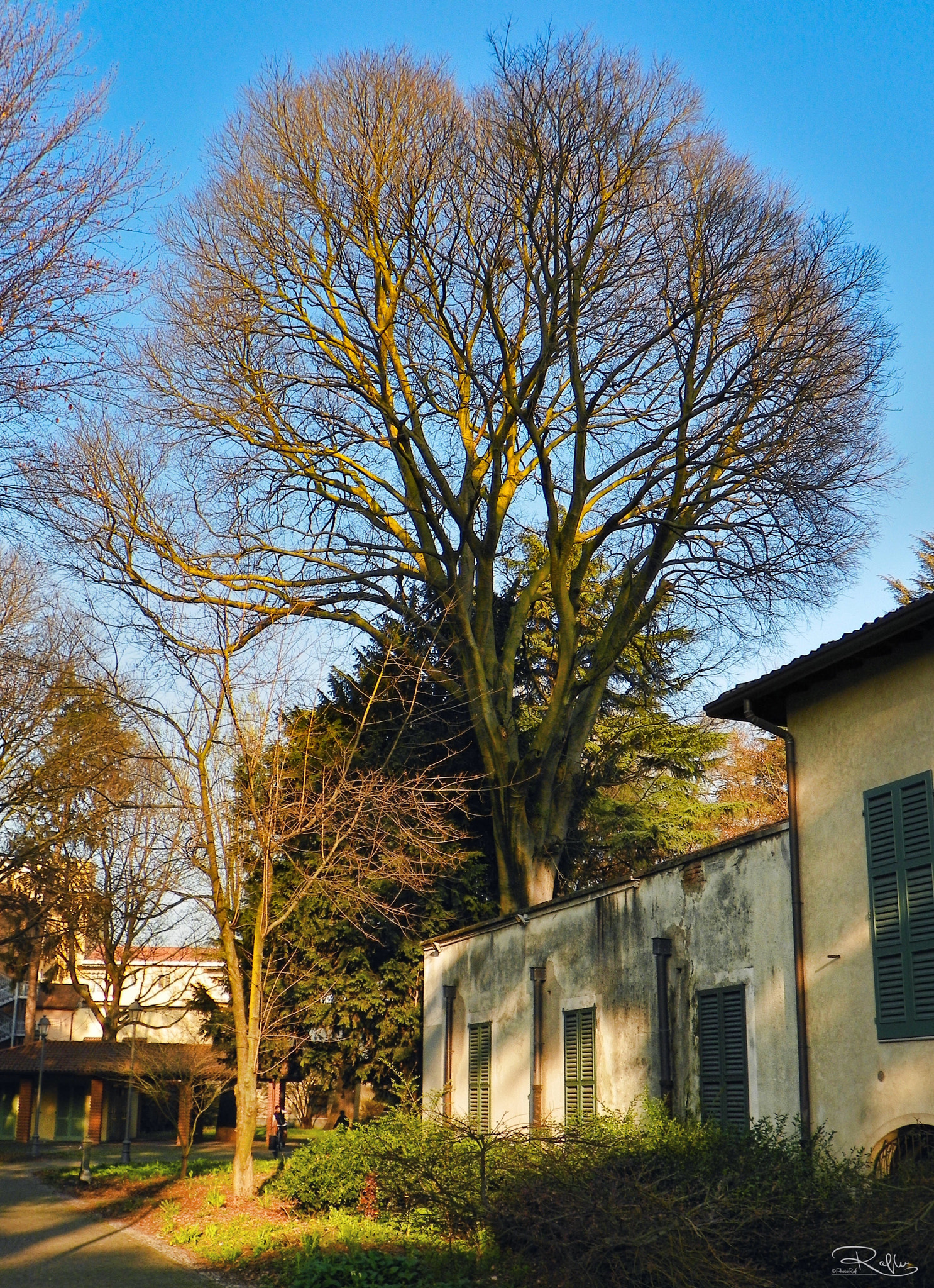 Kodak EasyShare Z981 sample photo. Parco di casa giacobbe photography
