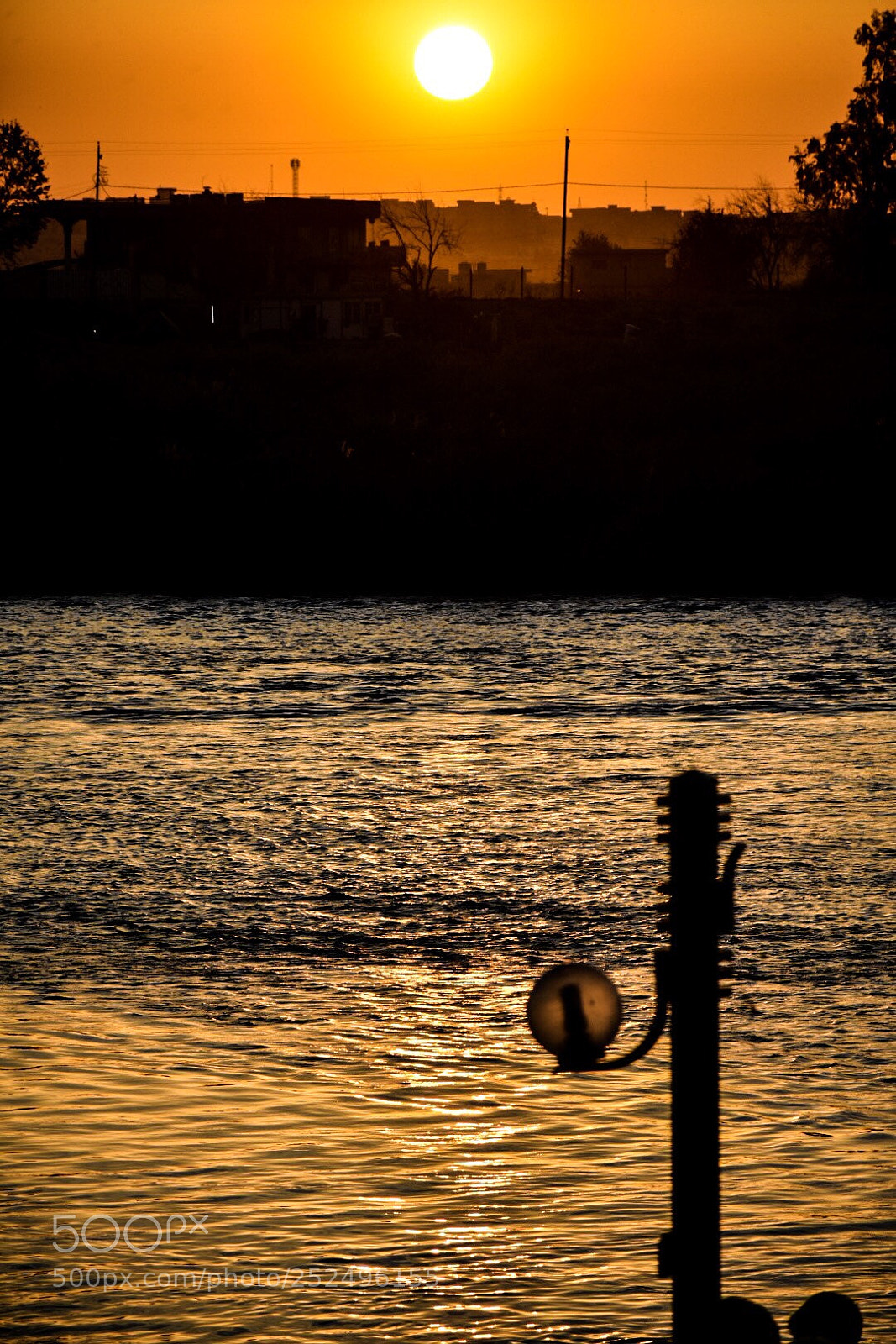 Nikon D7200 sample photo. Untitled photography