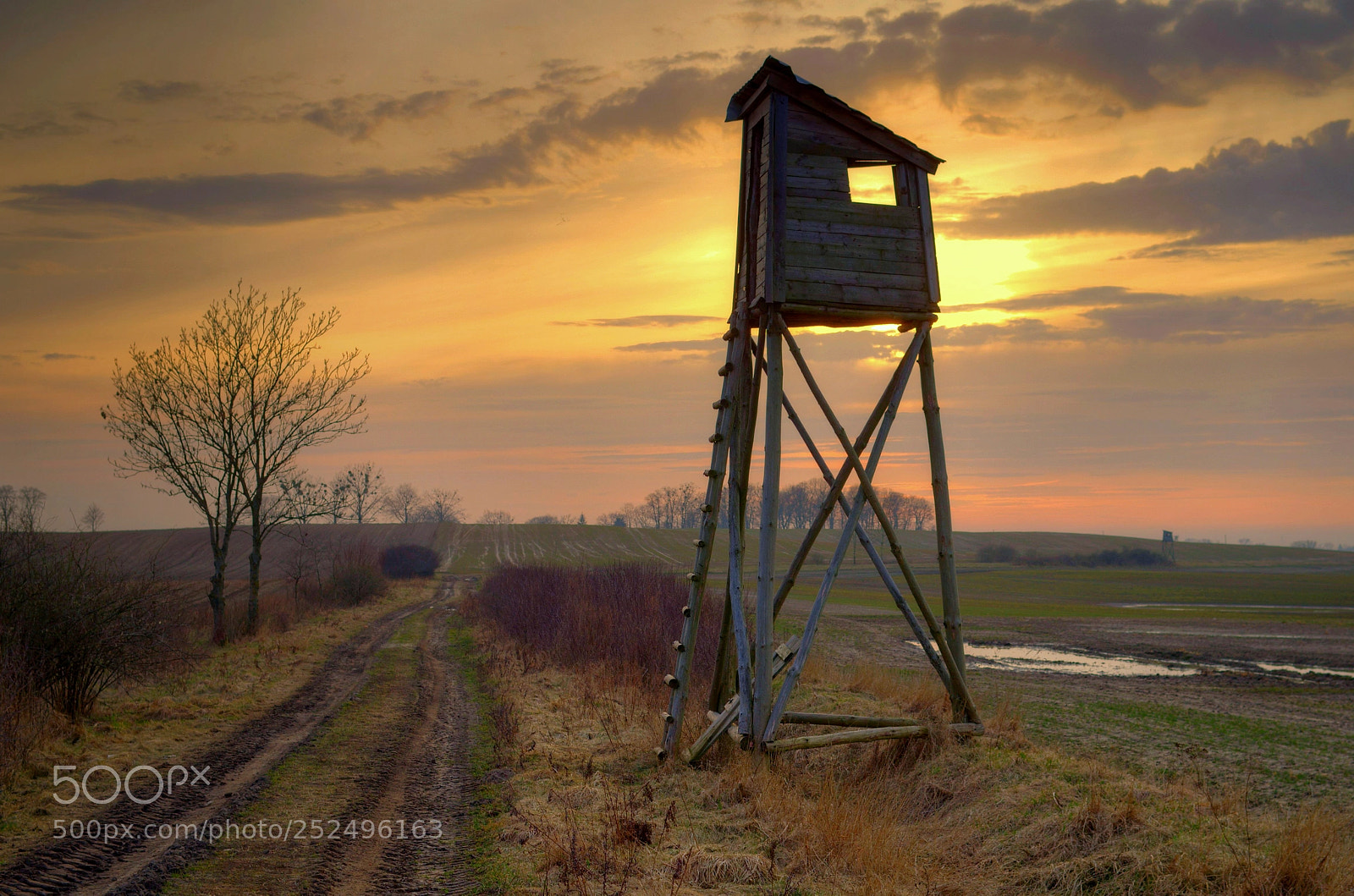 Pentax K-30 sample photo. Deer blind photography