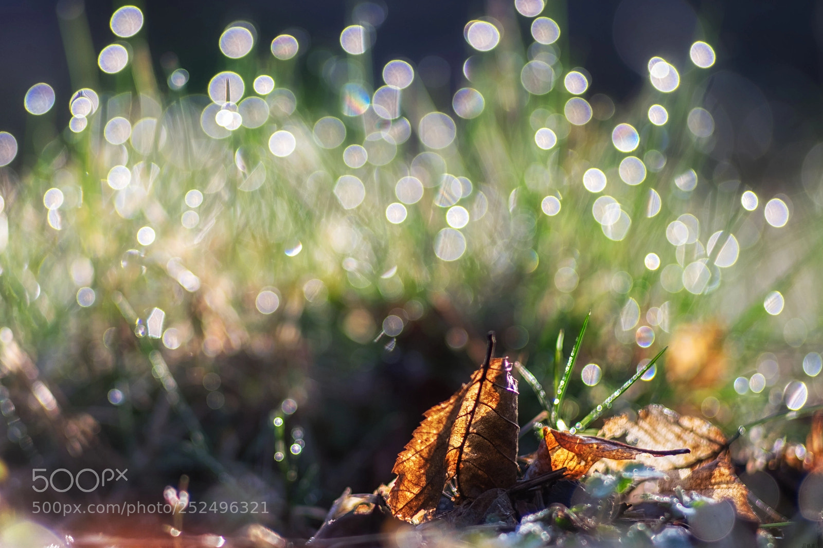 Fujifilm X-T10 sample photo. Bubbles iii photography