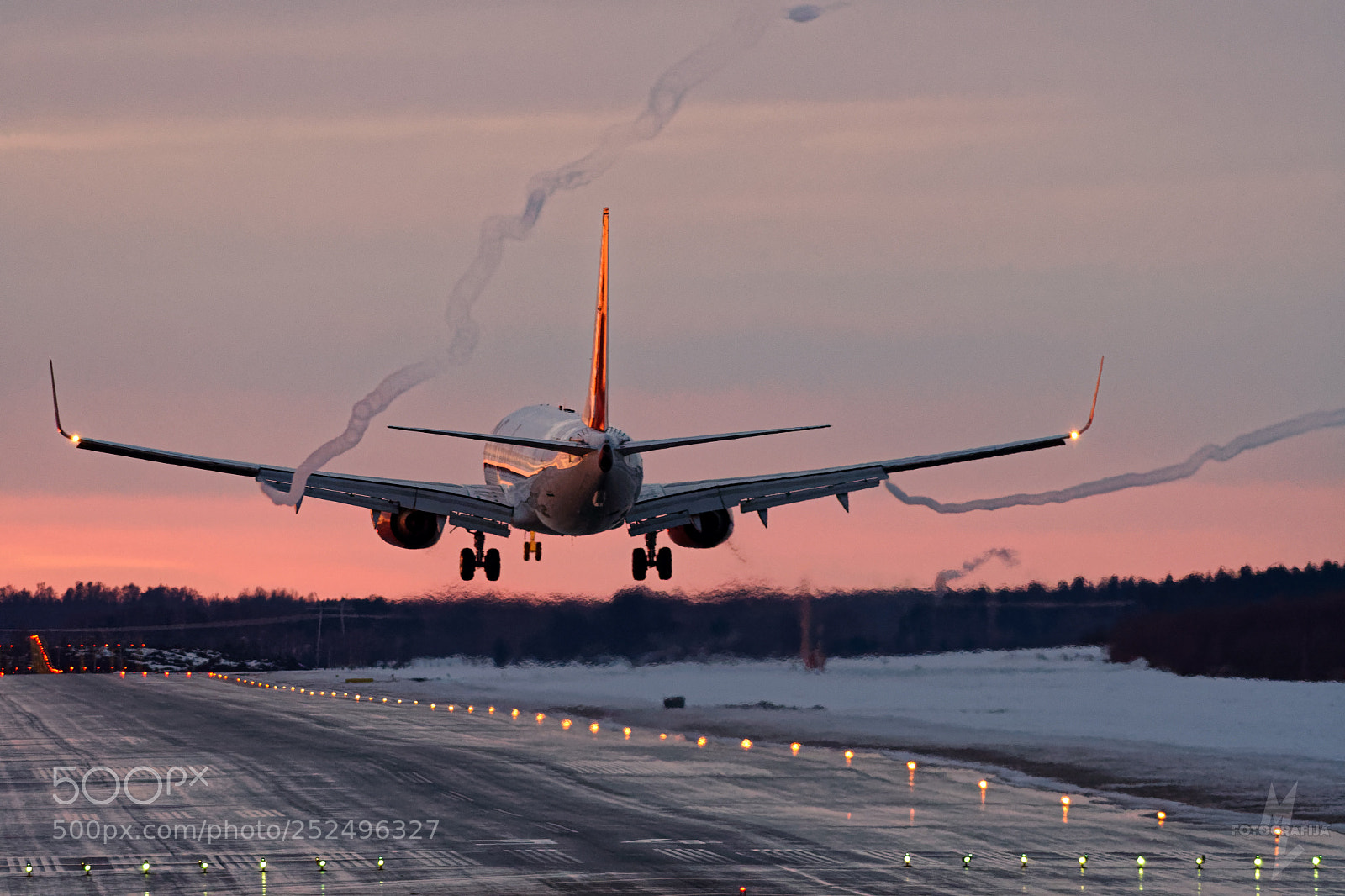 Nikon D500 sample photo. Landing after the evening photography