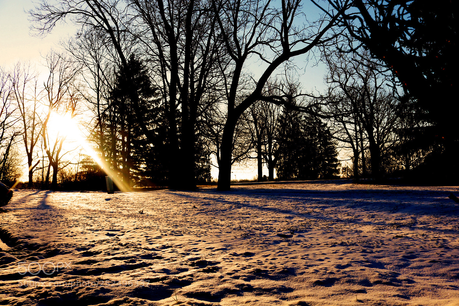 Canon EOS 750D (EOS Rebel T6i / EOS Kiss X8i) sample photo. Snow light photography