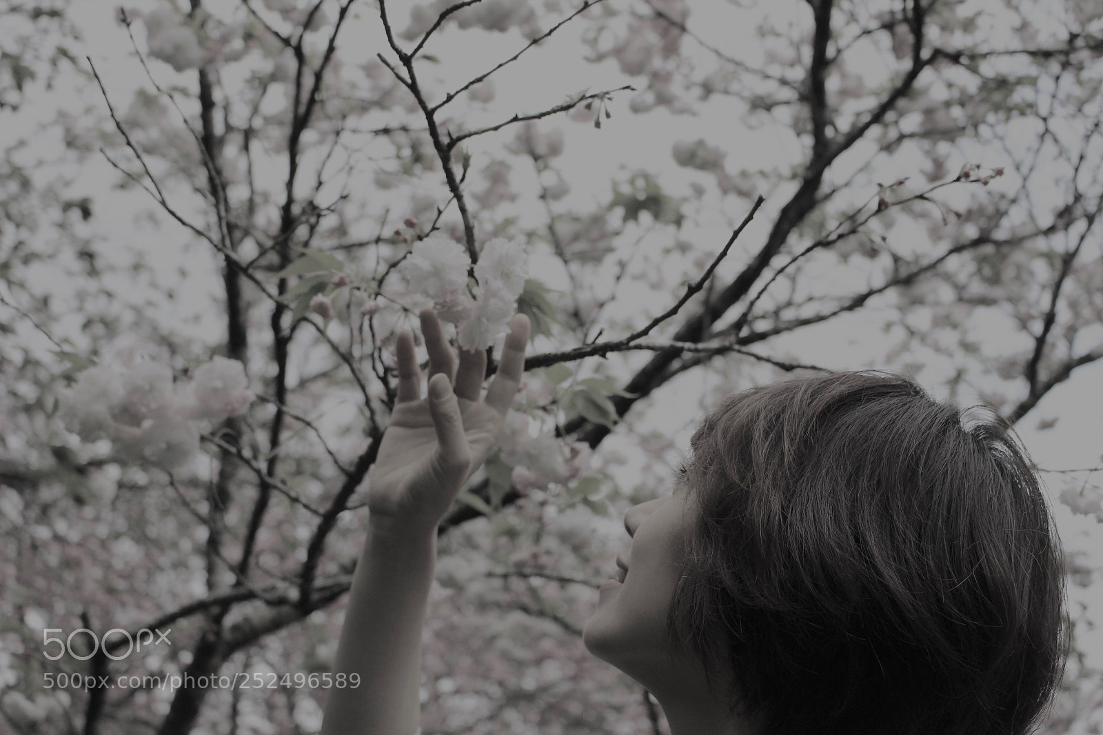 Canon EOS 700D (EOS Rebel T5i / EOS Kiss X7i) sample photo. Misty photography